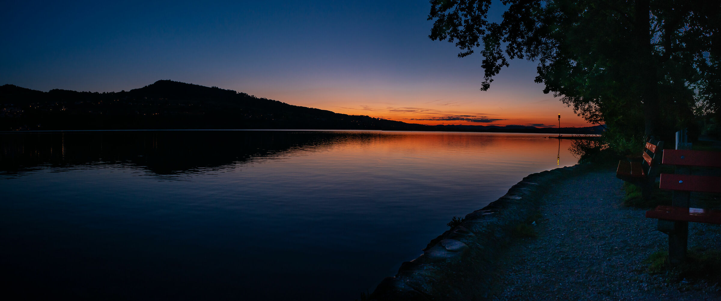 Seerose from Hallville (Switzerland)