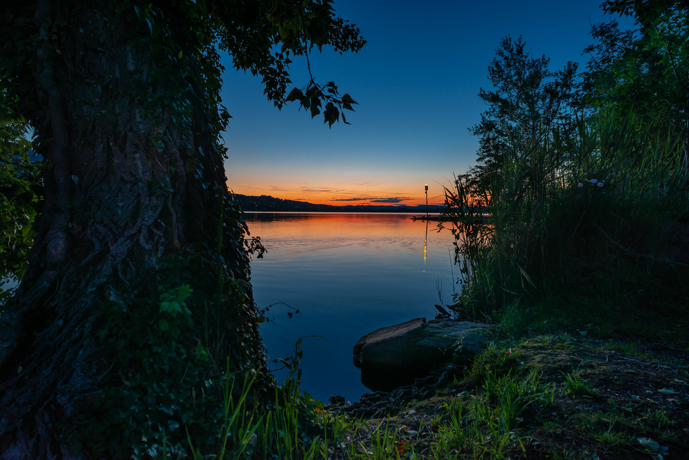 Seerose - Hallville (Svizzera)