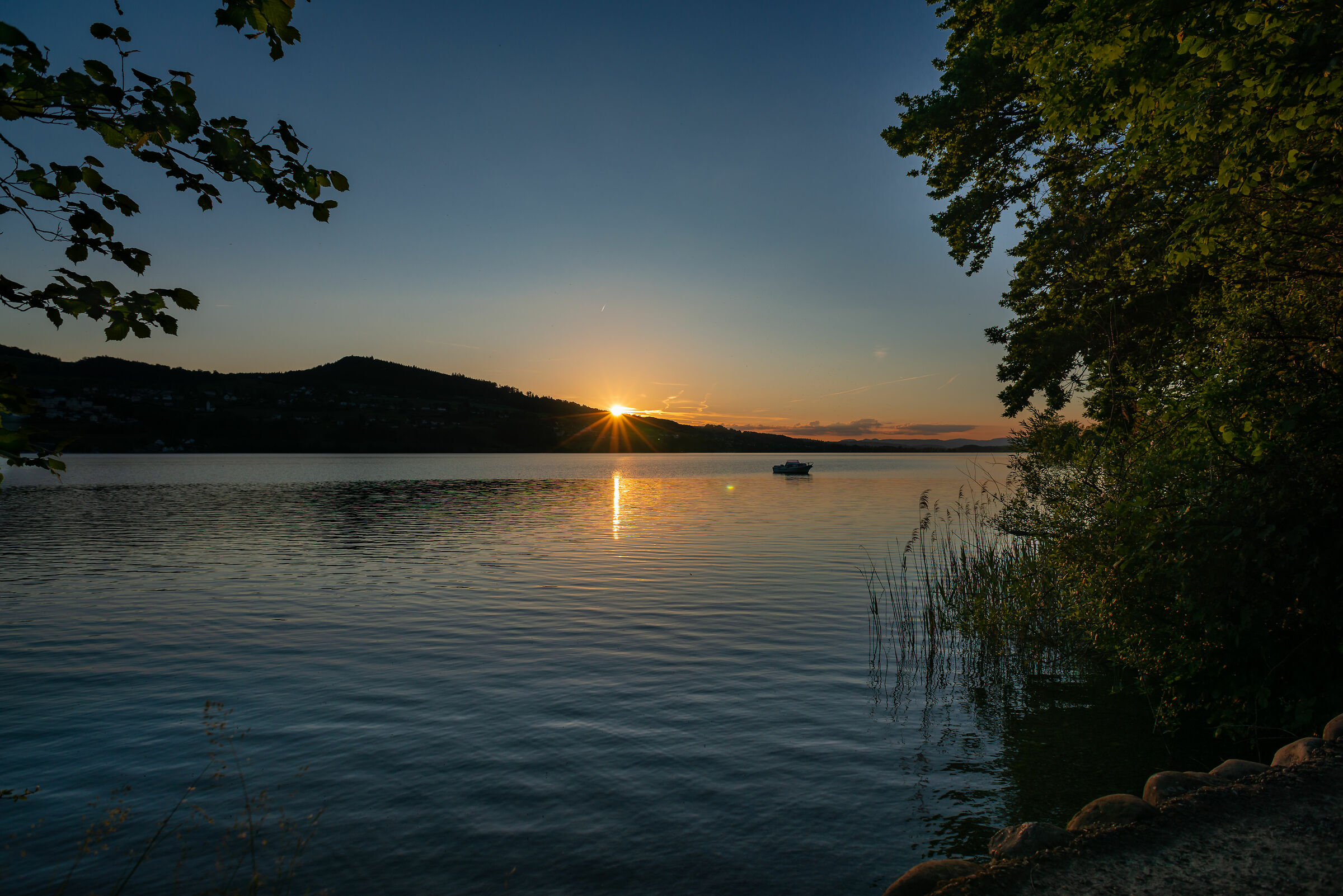 Seerose - Hallville (Svizzera)