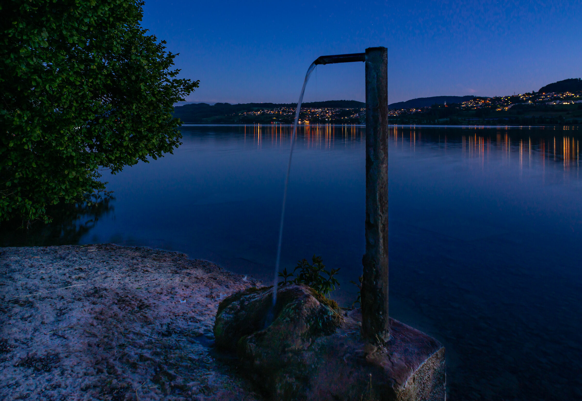 Seerose - Hallville (Svizzera)