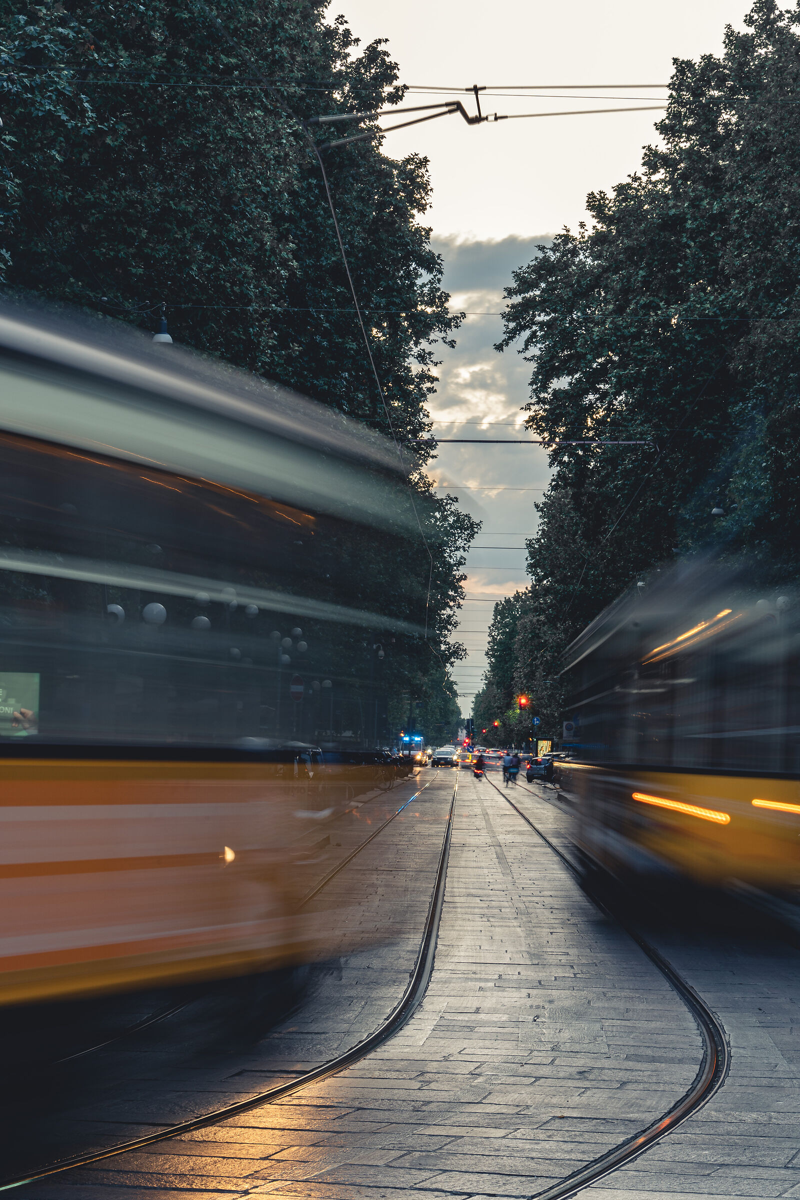 Milan's trams