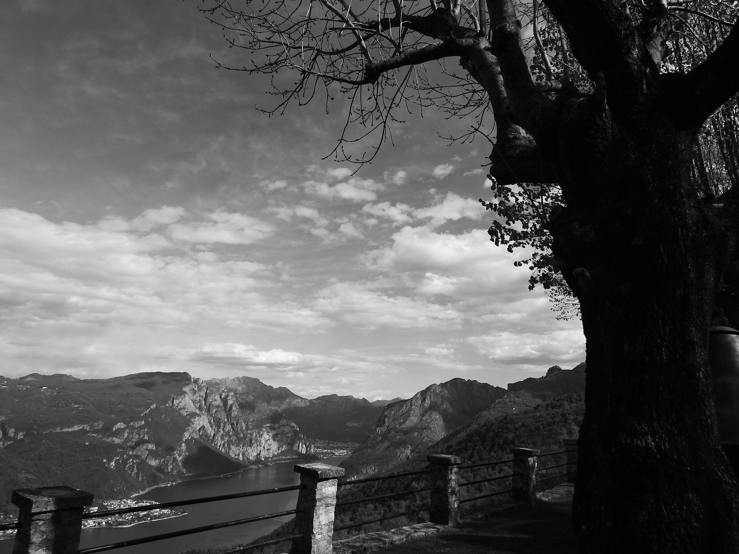 Untitled Photo