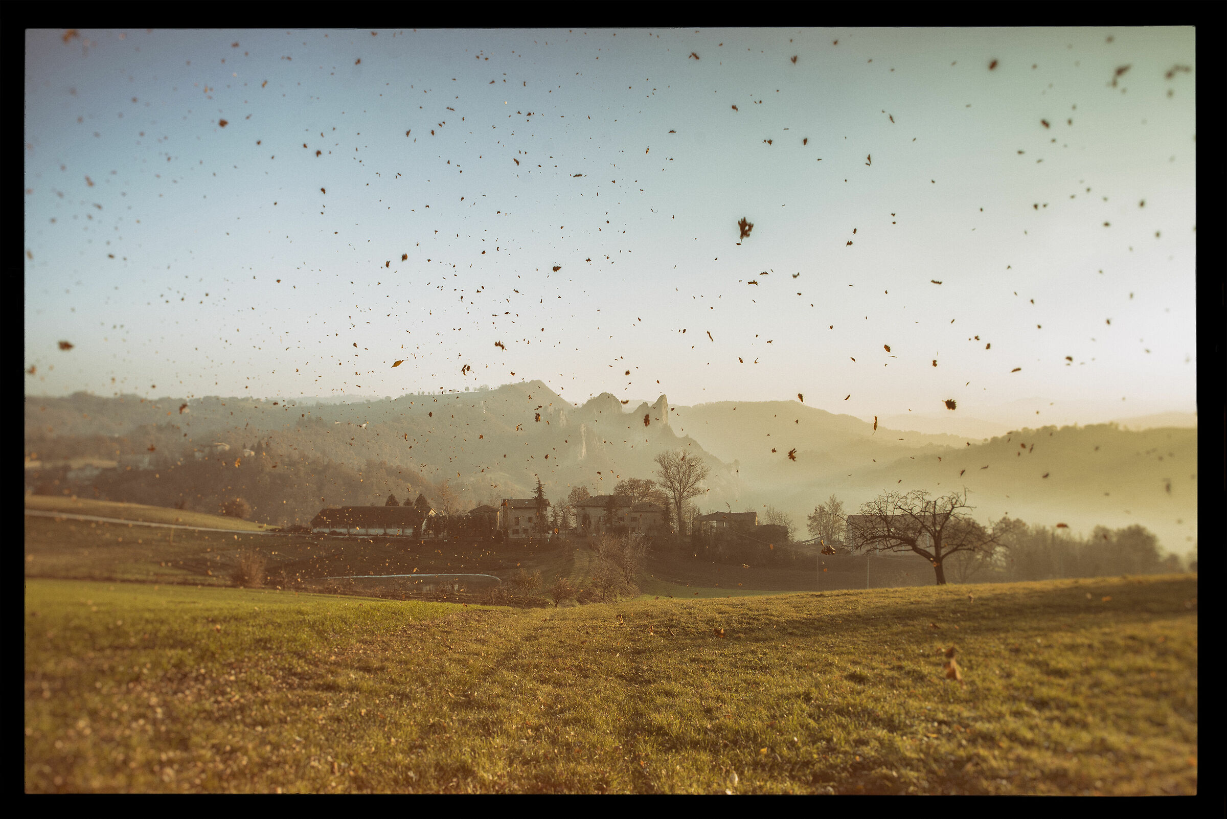 All'improvviso... una folata di vento