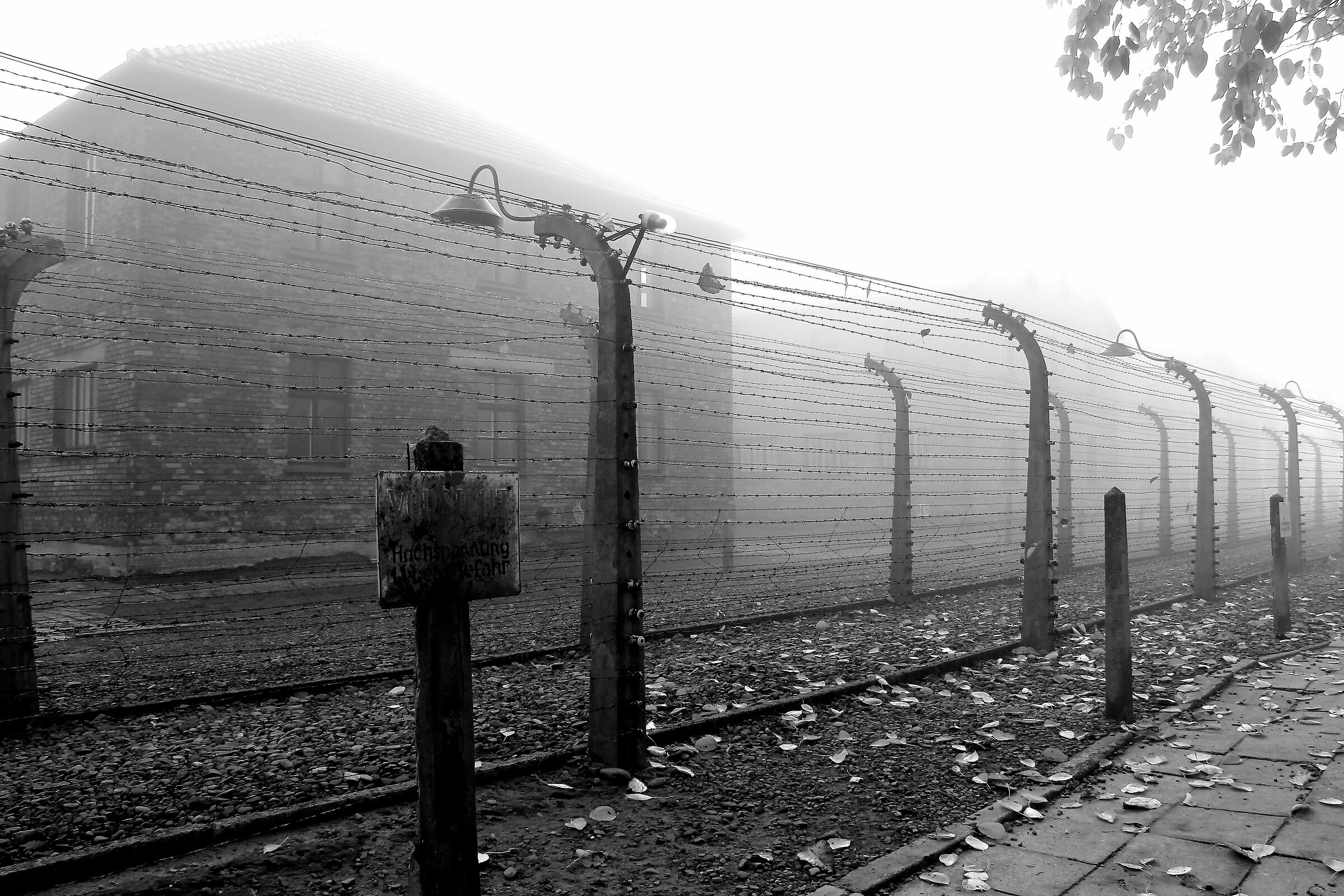 Auschwitz
