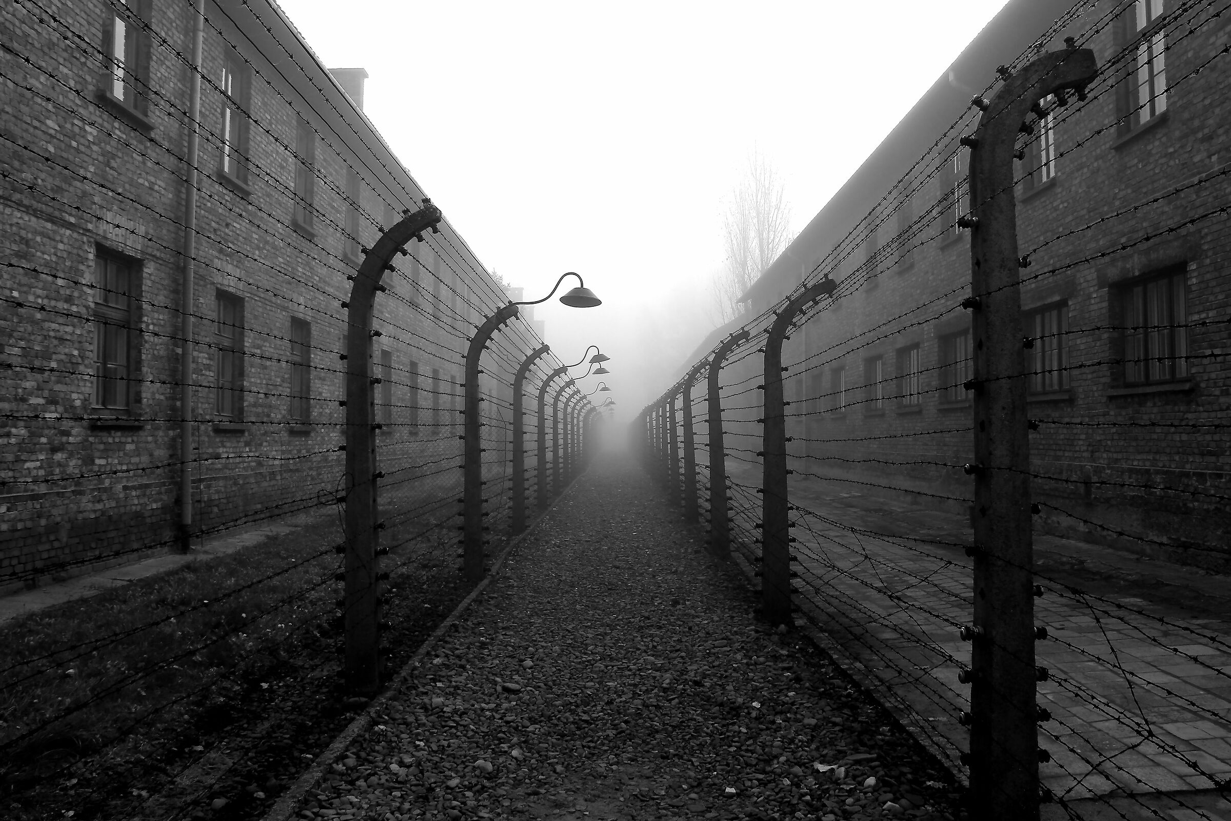 Auschwitz
