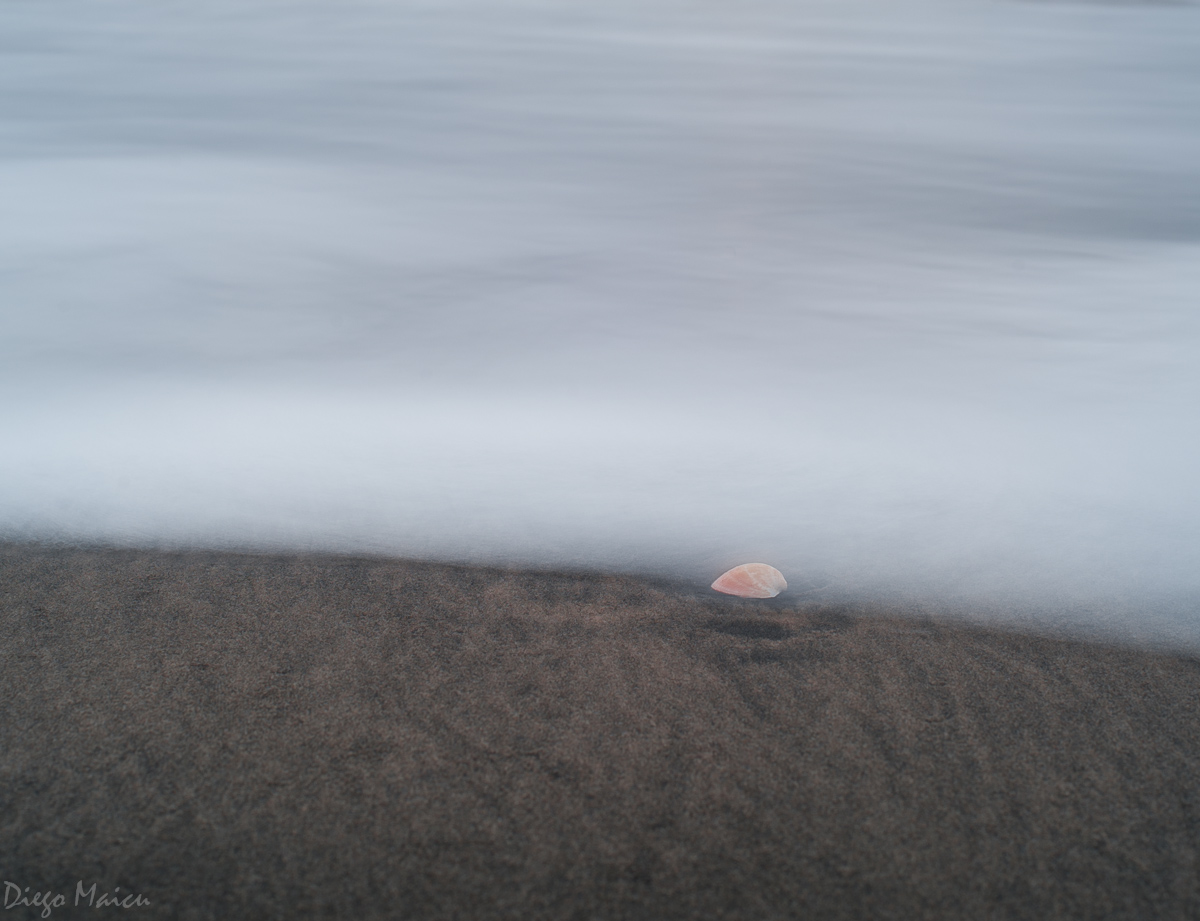 The shell of Diego. Less is more