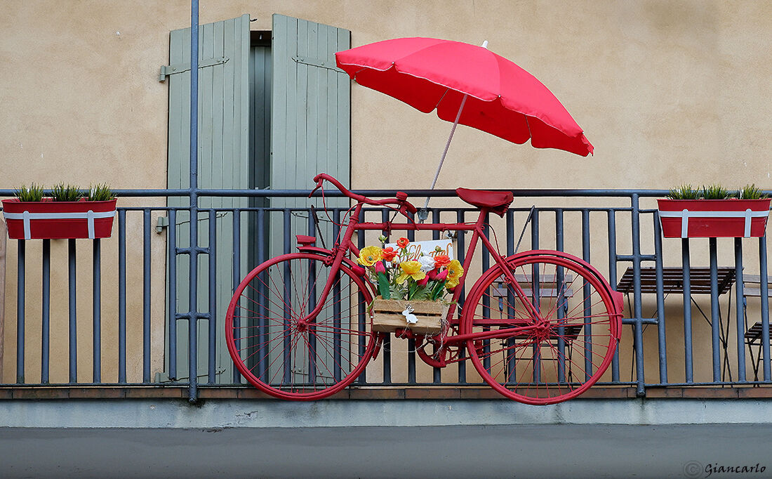 The sympathy that inspires the bicycle