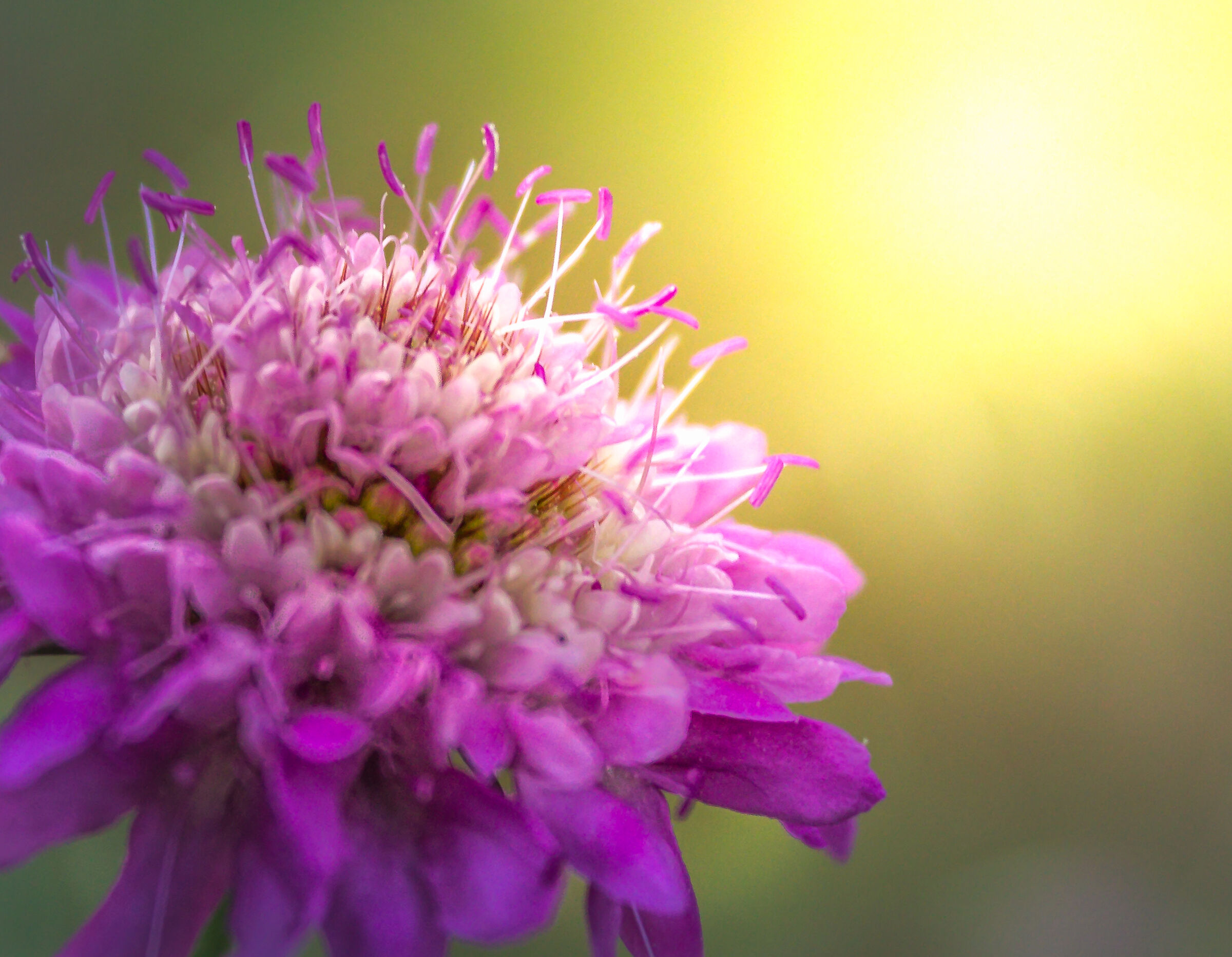 Prova post produzione...