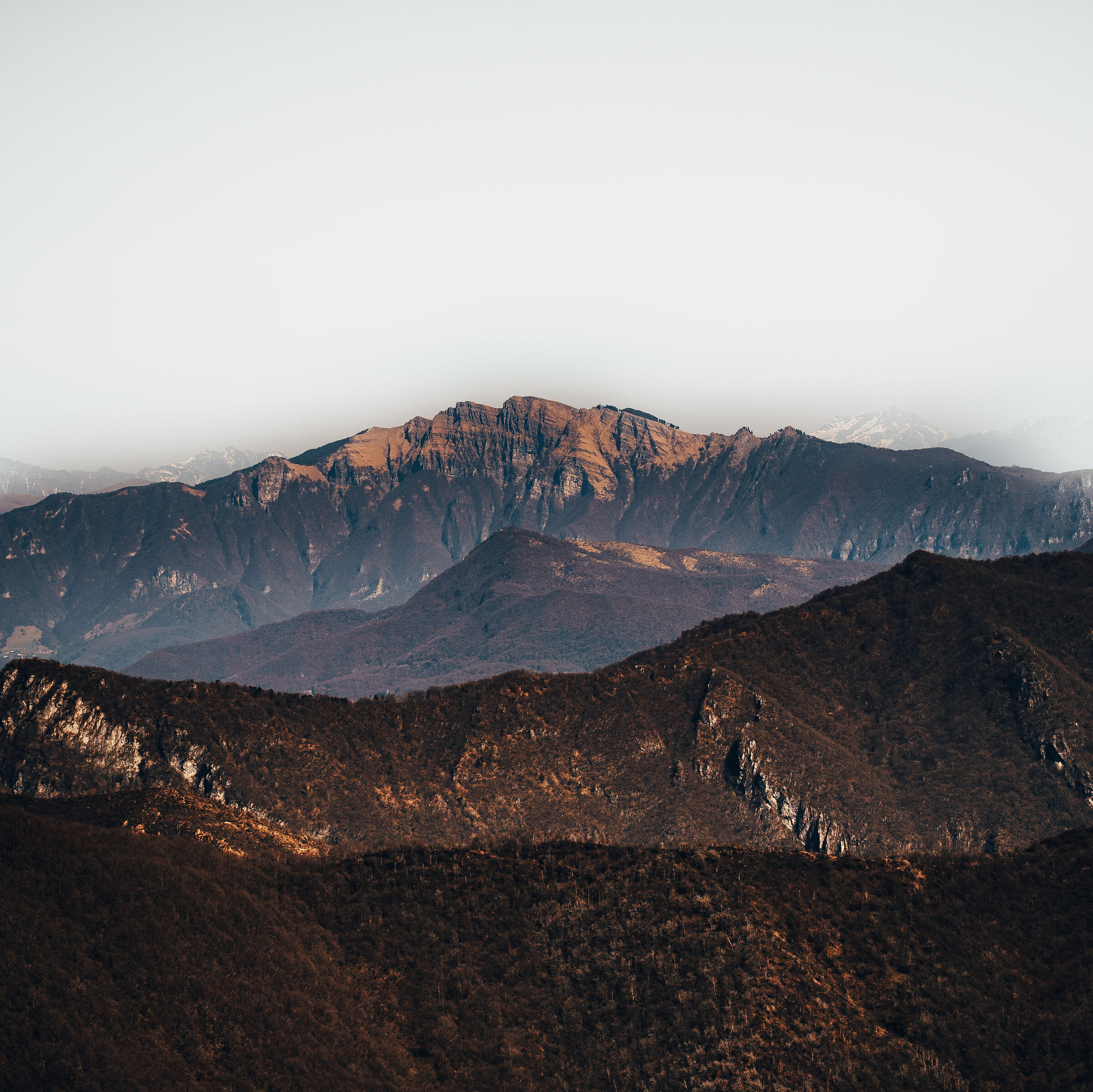 Flower Field Regional Park