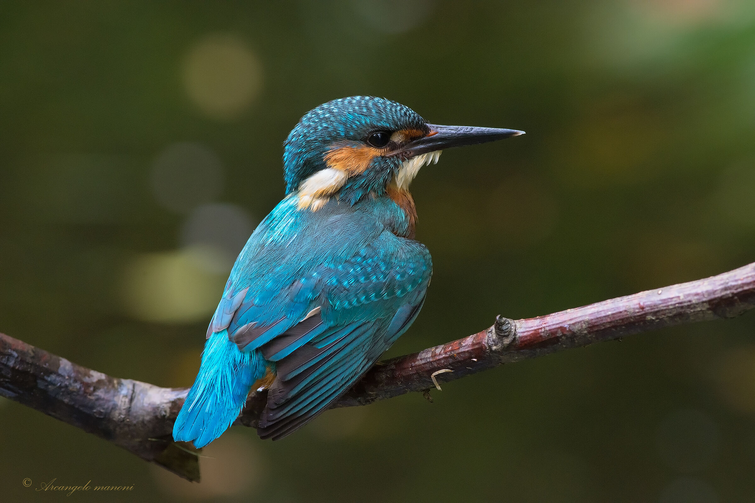 A boy trying to make the wheel