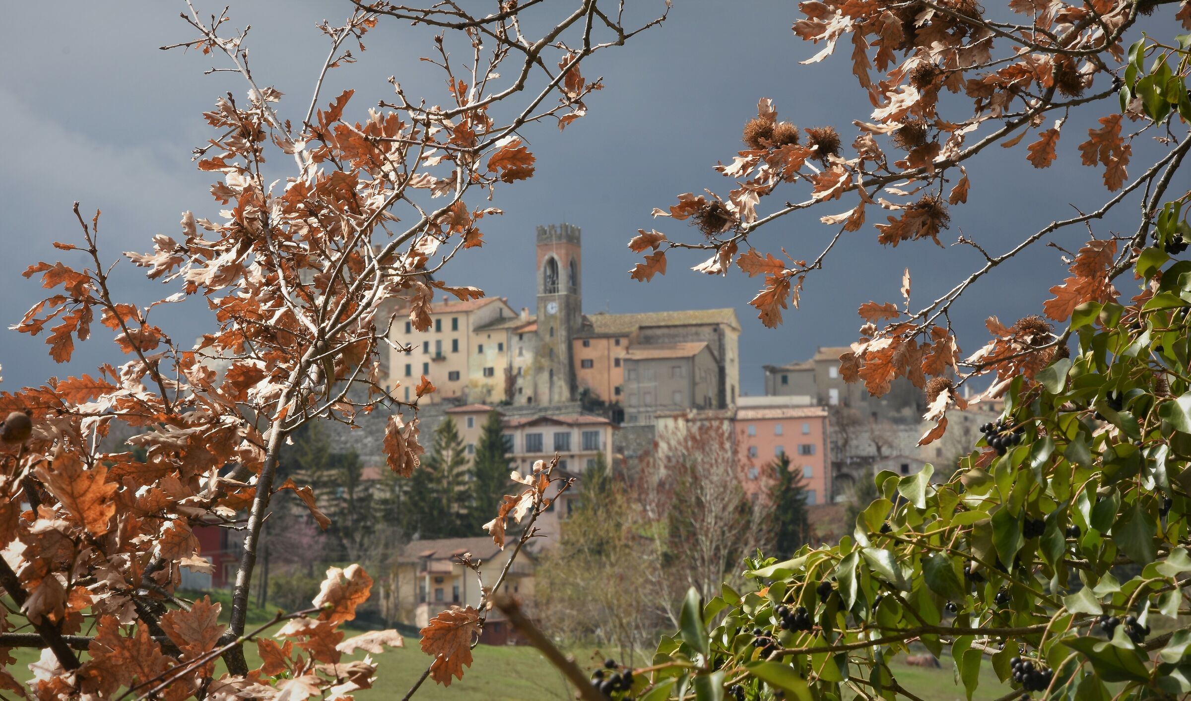 Guardando tra i rami ecco un paesaggio