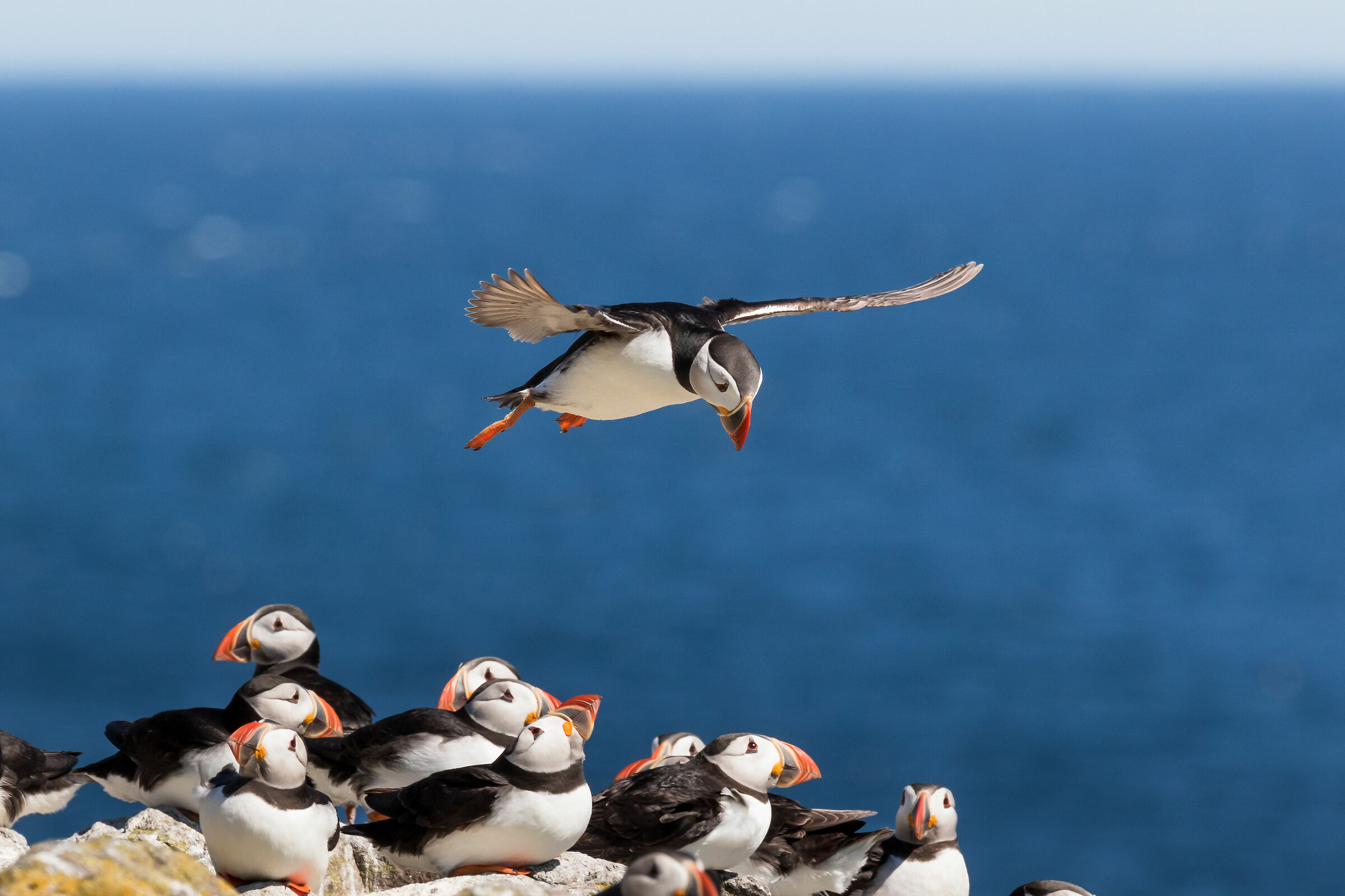 Occhio a dove scendi!