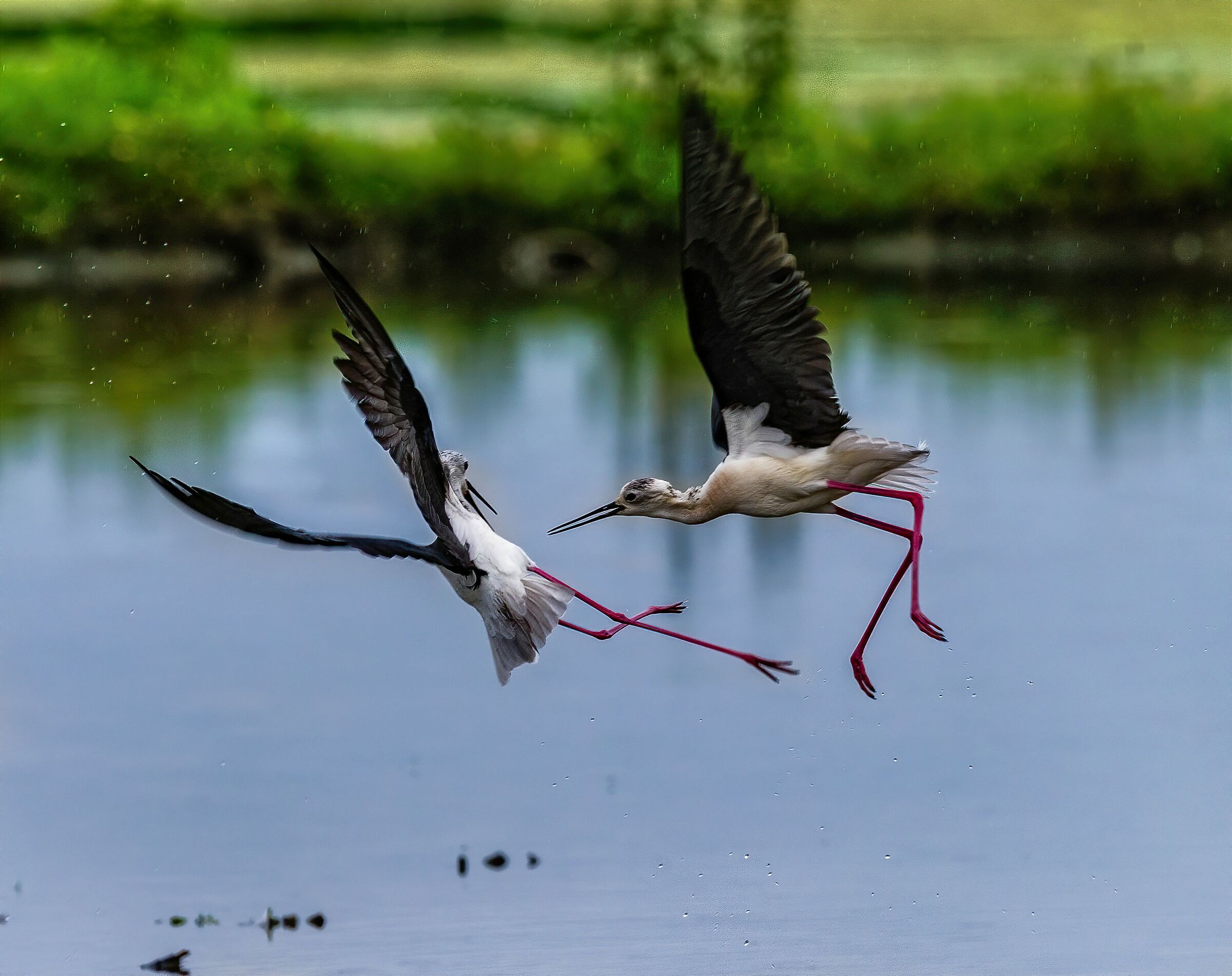 Fight between brothers