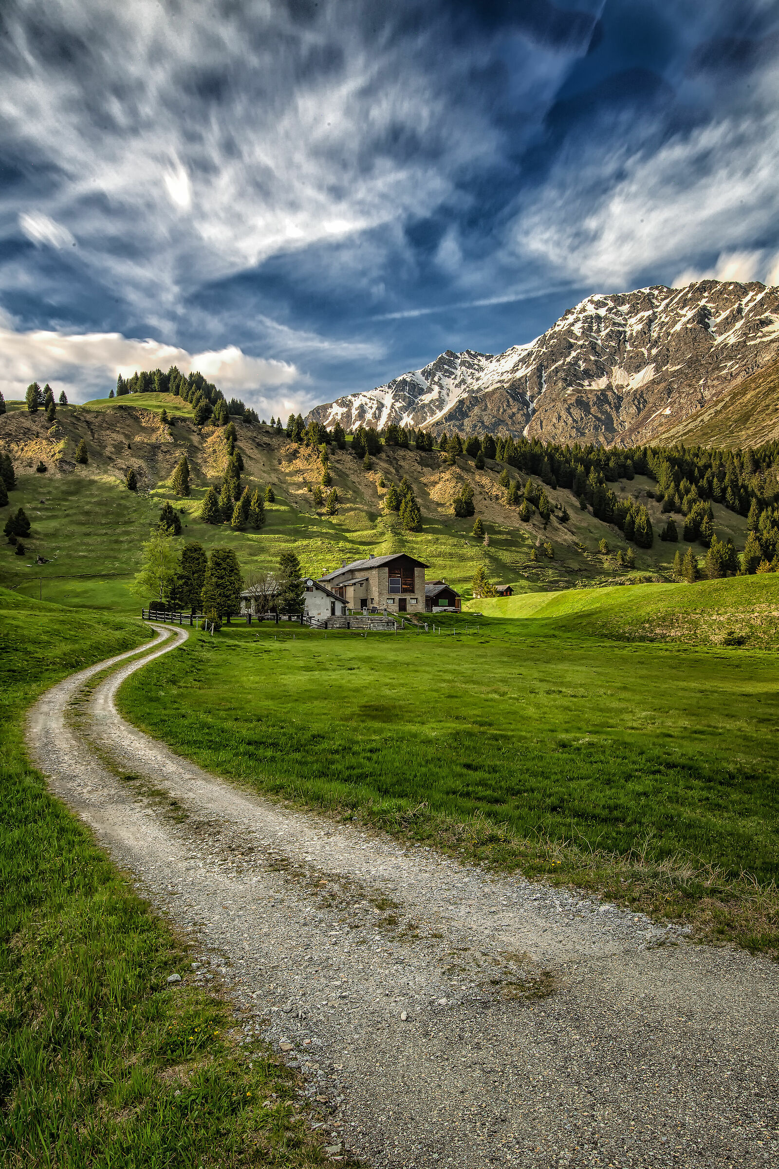 San Bernardino pastures