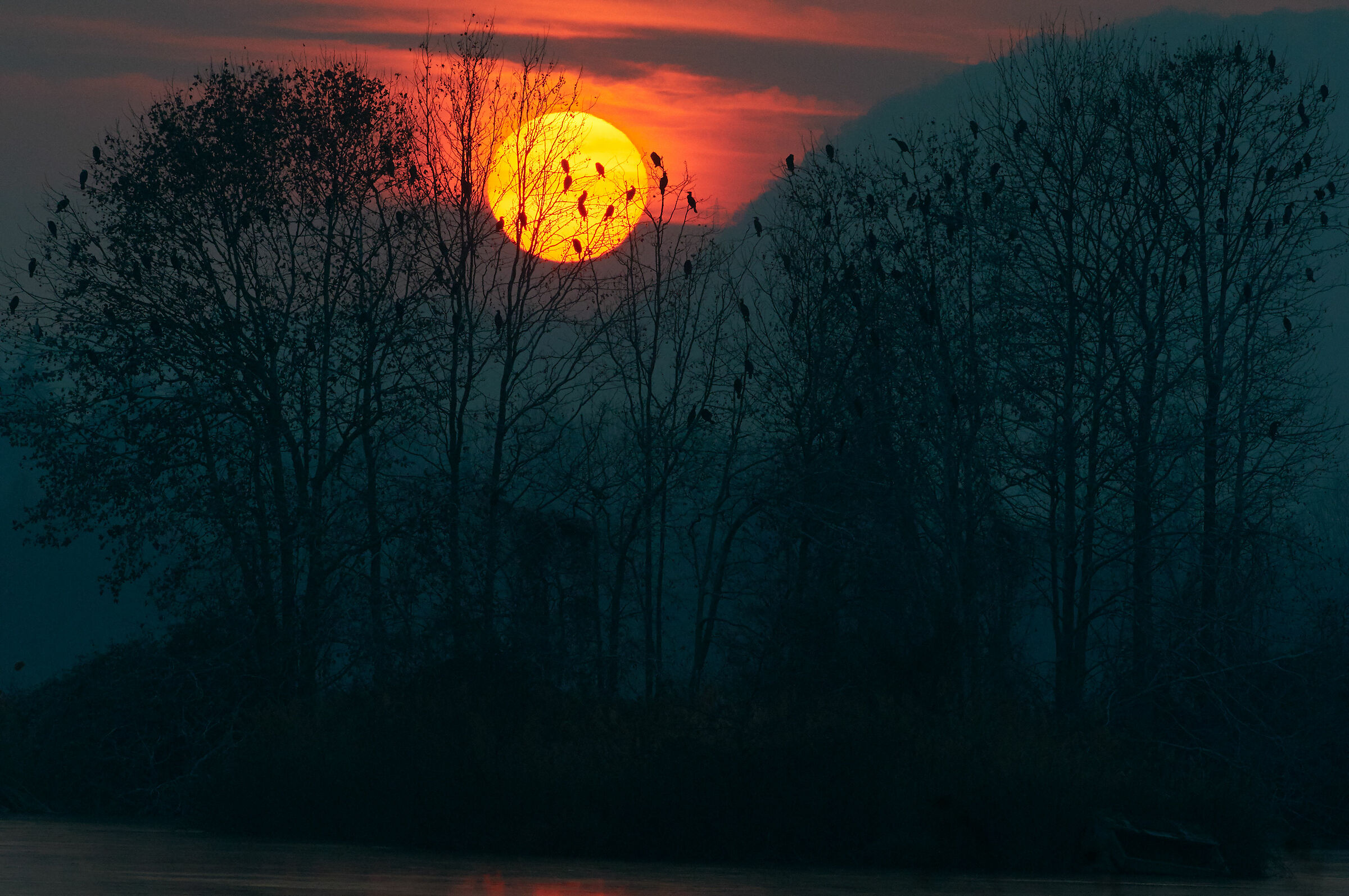Dietro il tramonto 500 mm