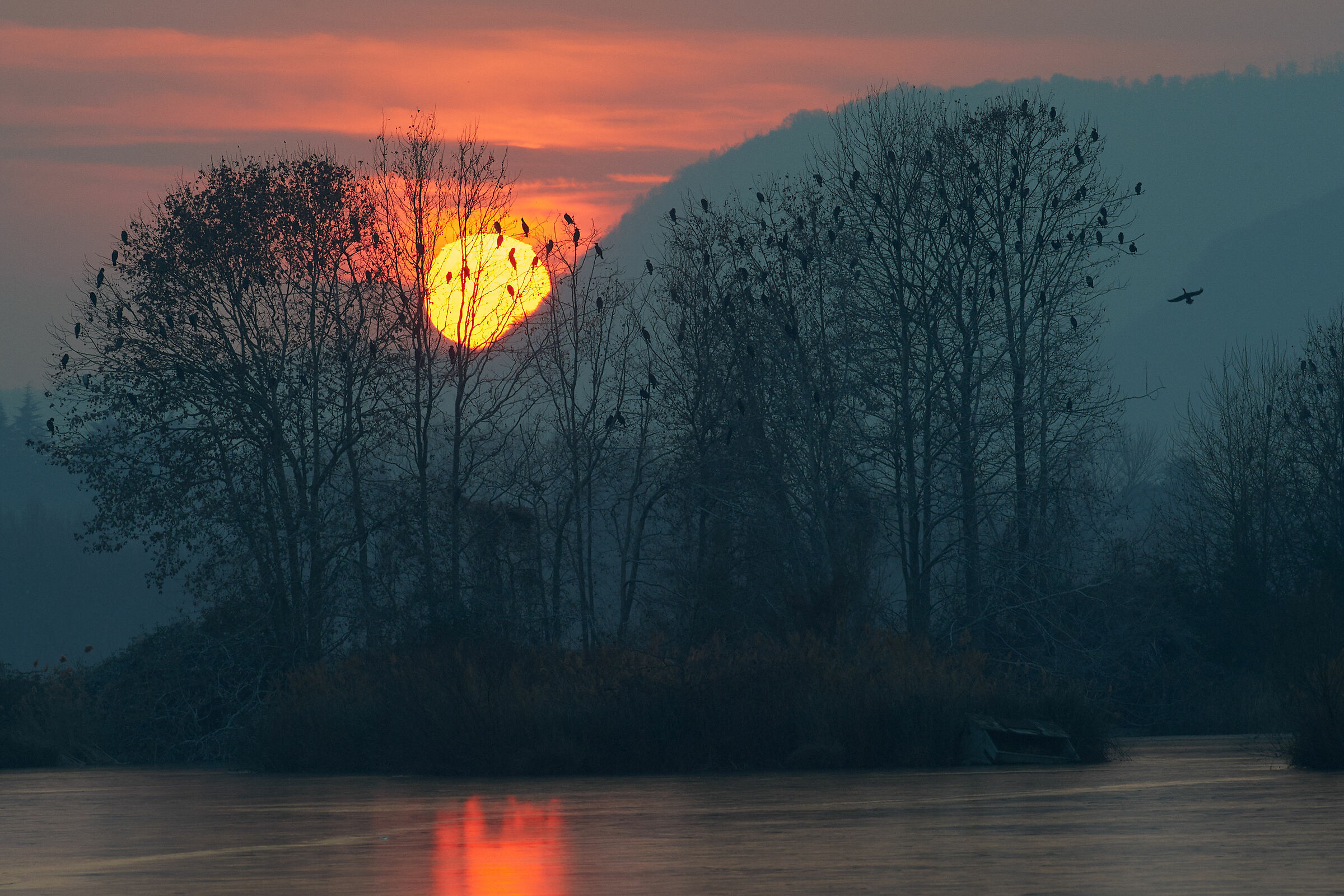 Dietro il Tramonto 300mm