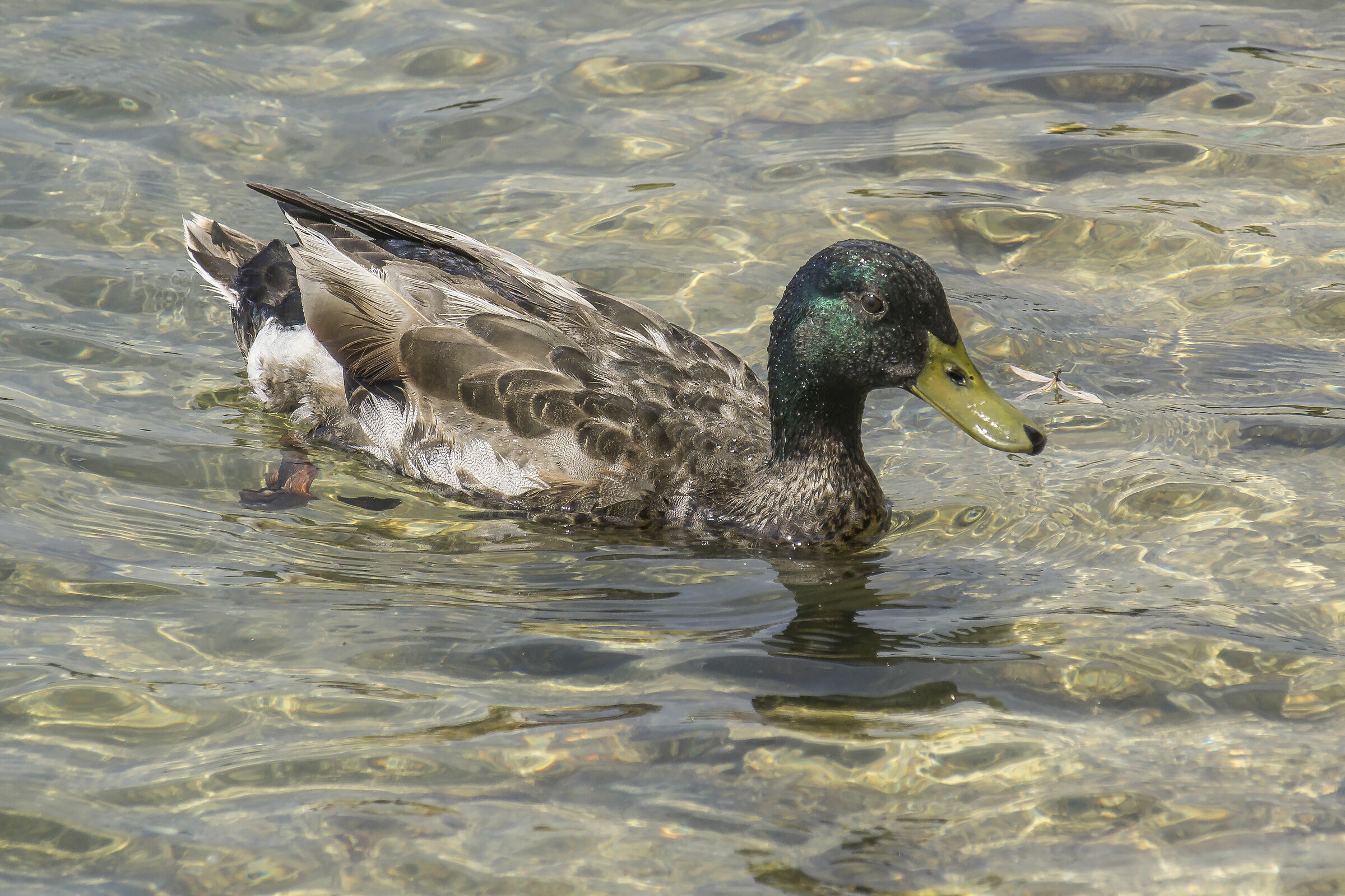 Thursday 20 June 2019, 11:44.