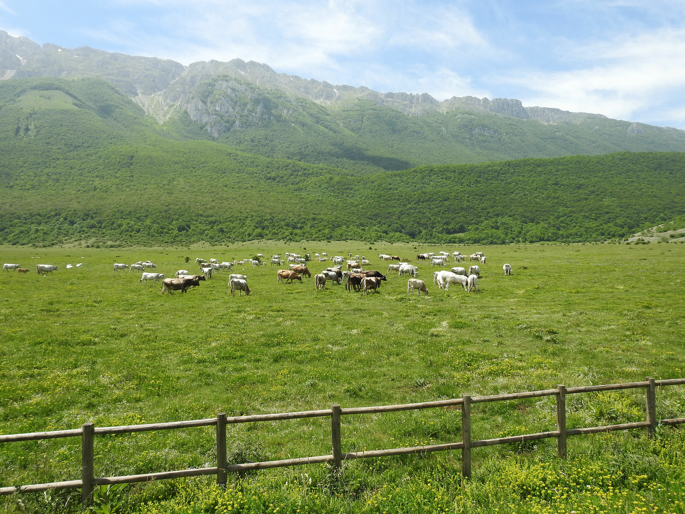 In the Sirente Velino nature park