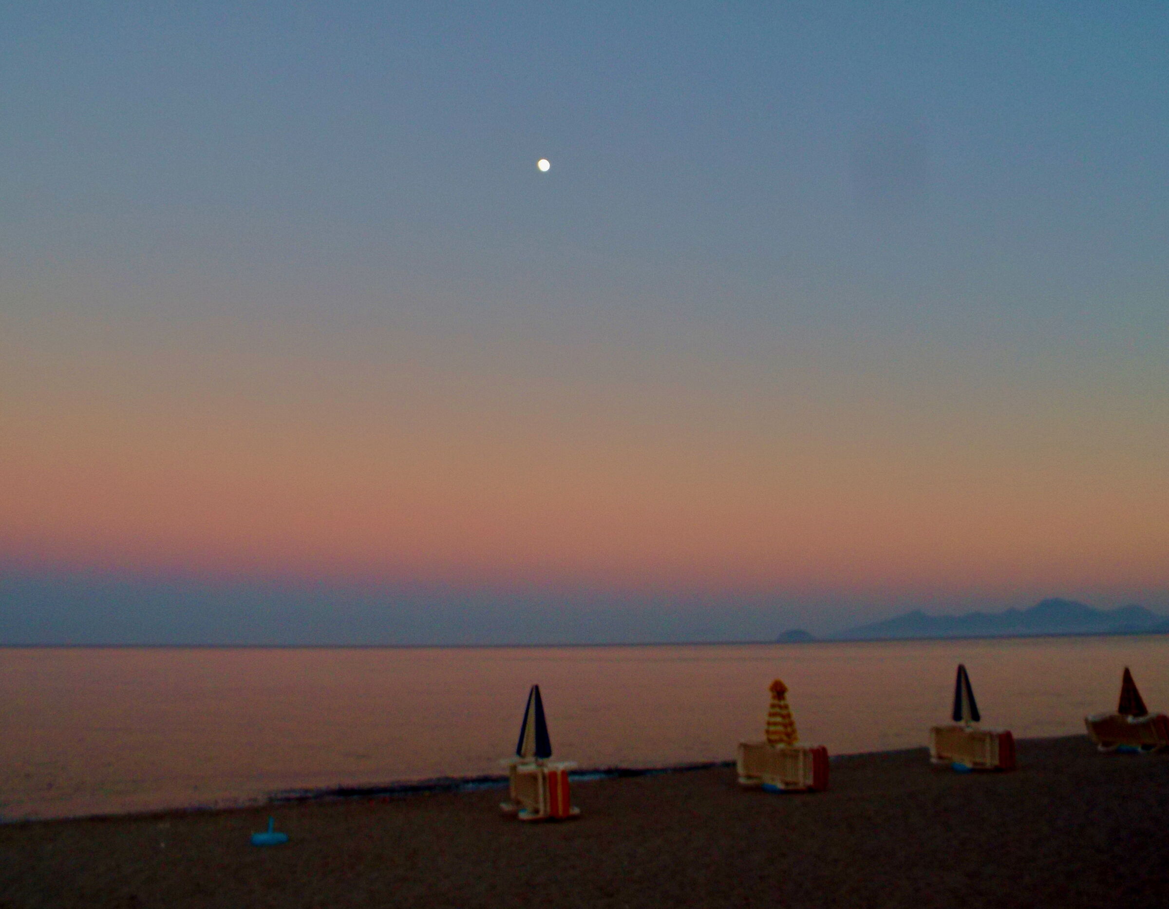 The beach dresses x the night