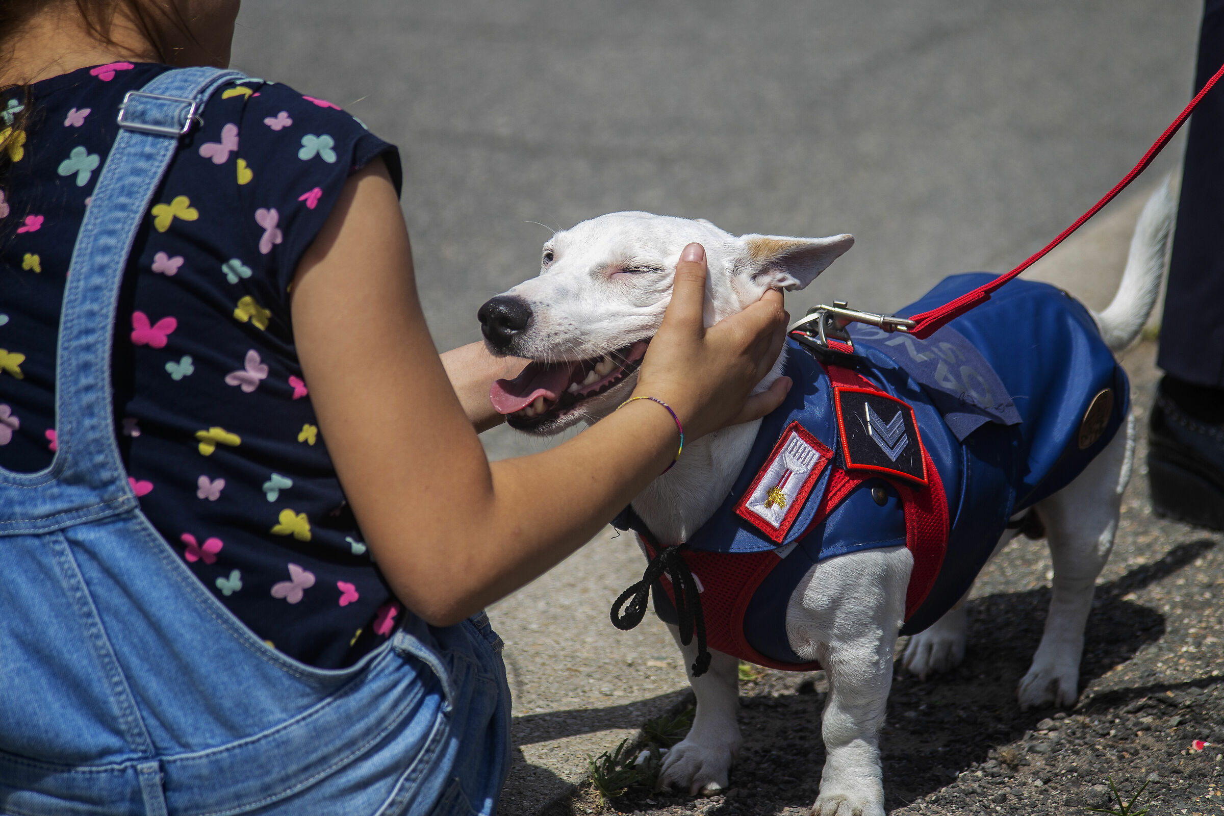Tenerezze da soldato..