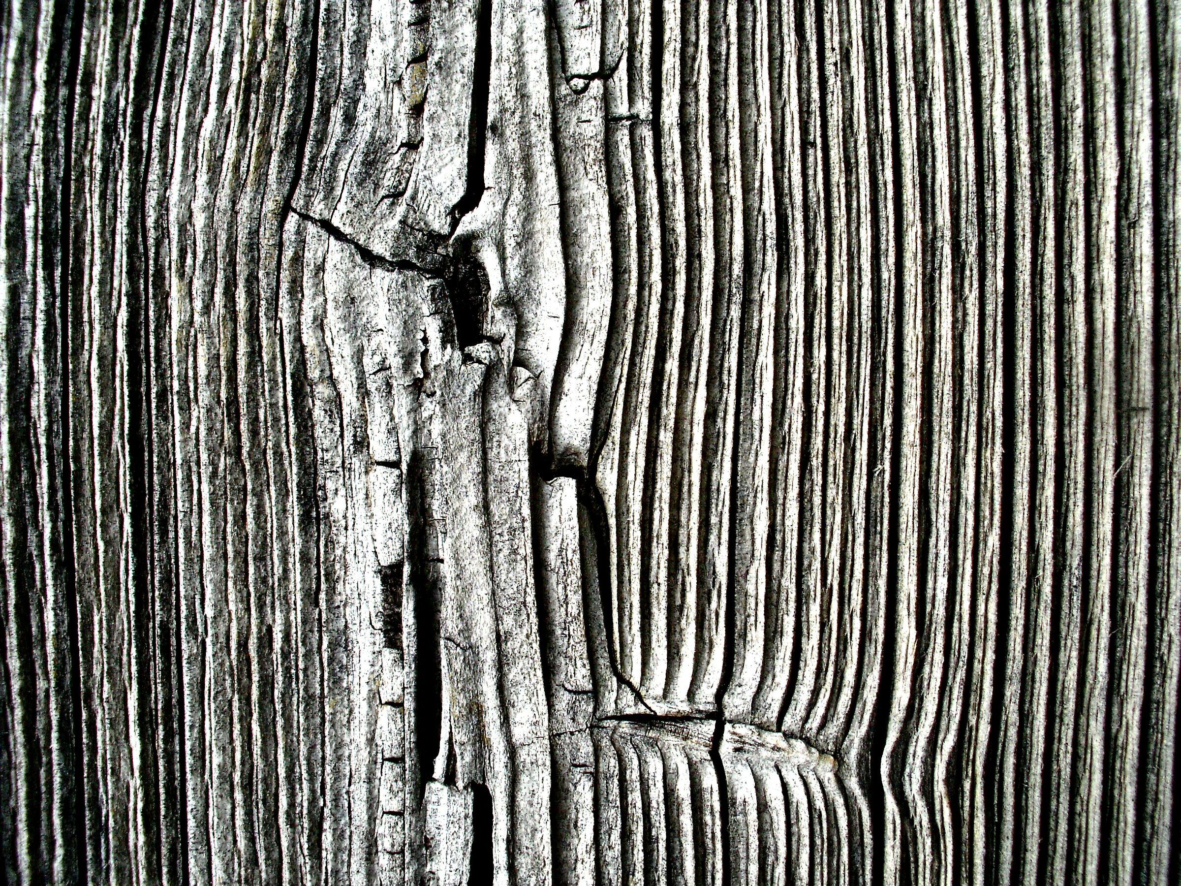 Texture