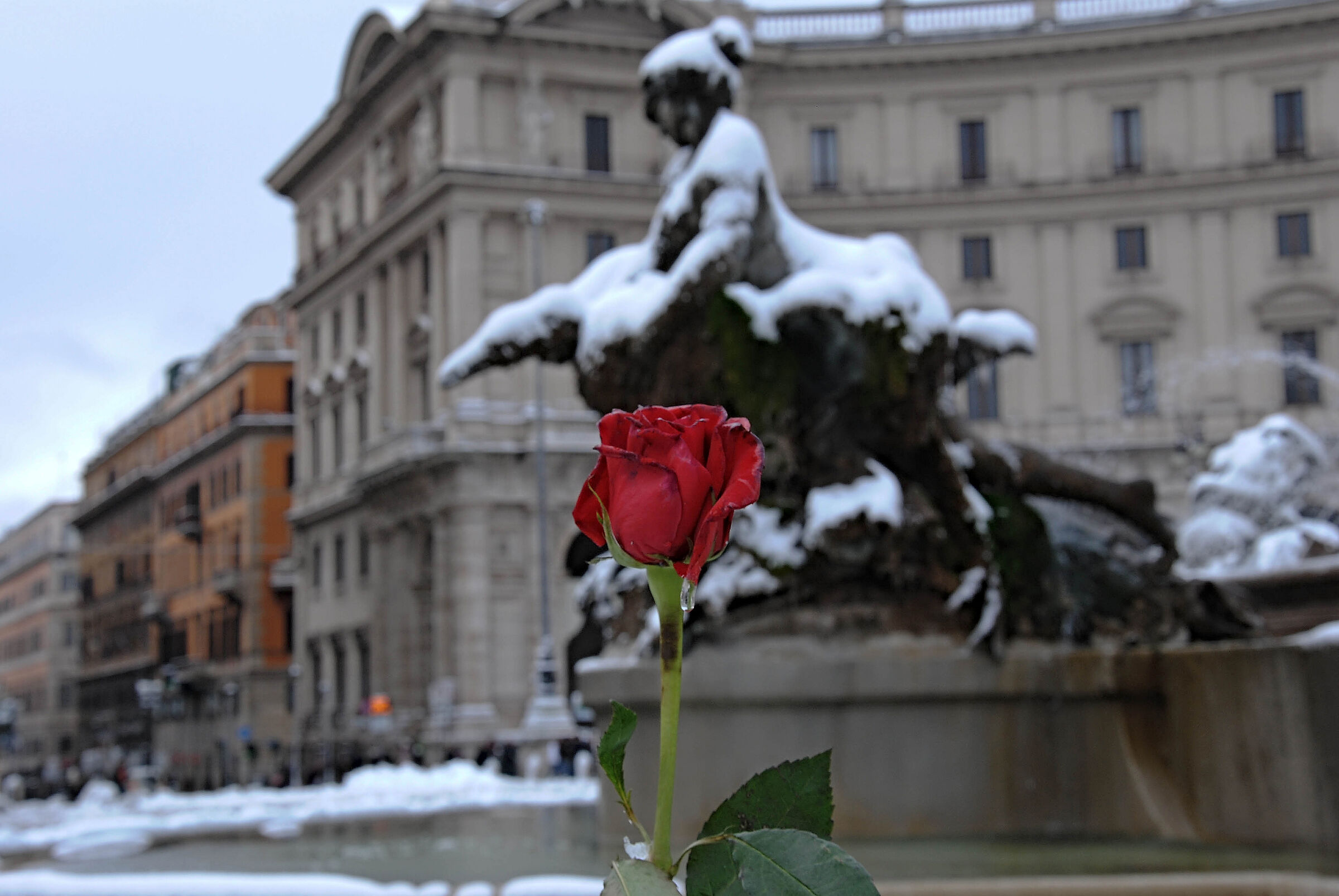 piazza della Repubblica Fontana delle Naidi innevata