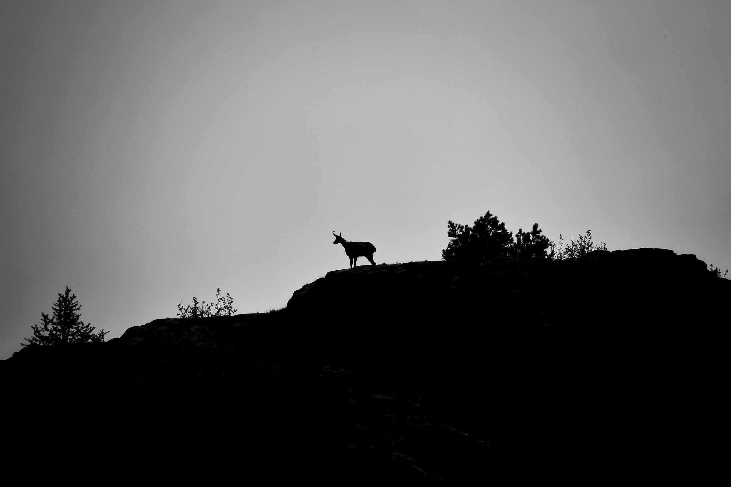 High-altitude meetings