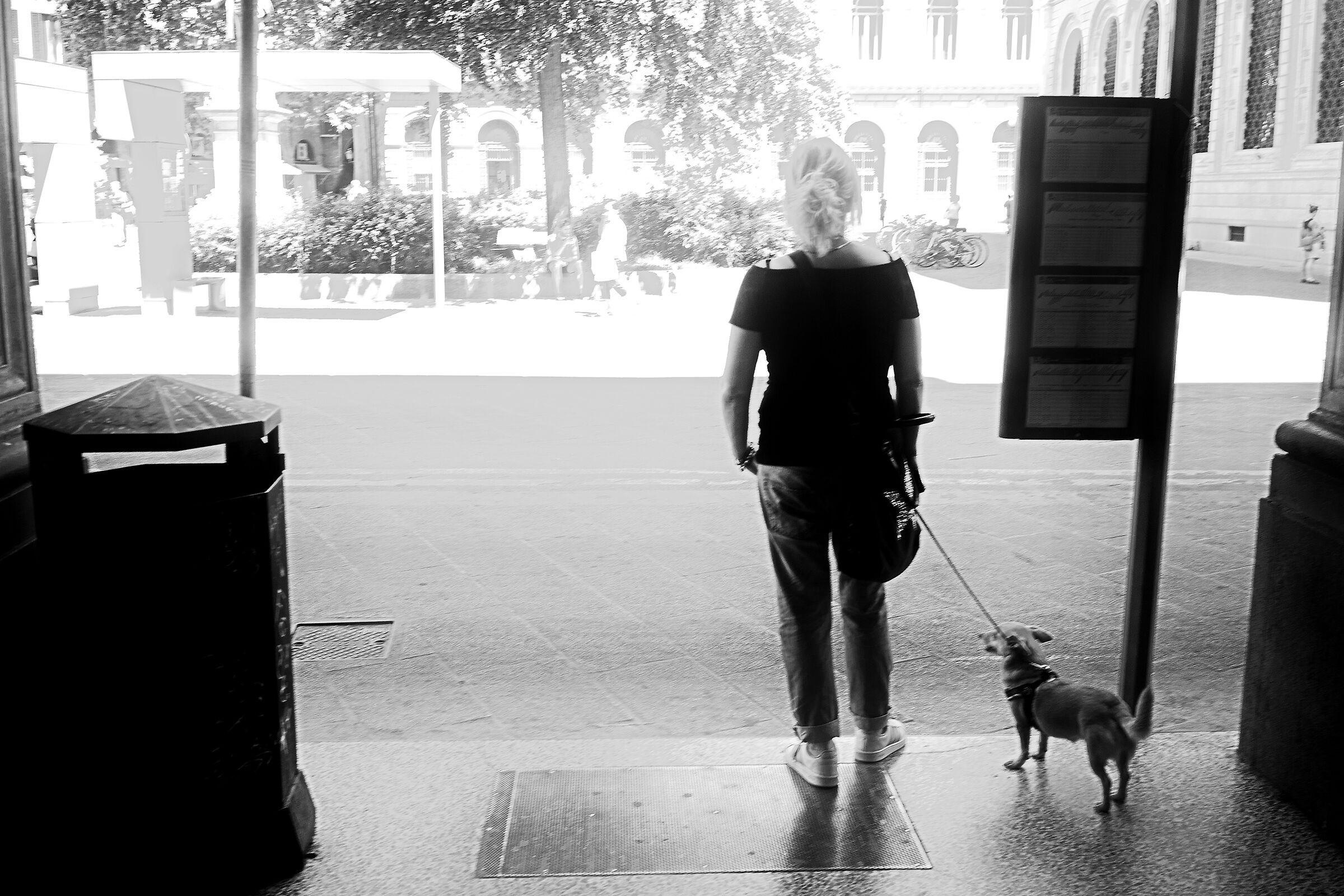 Ragazza col cagnolino