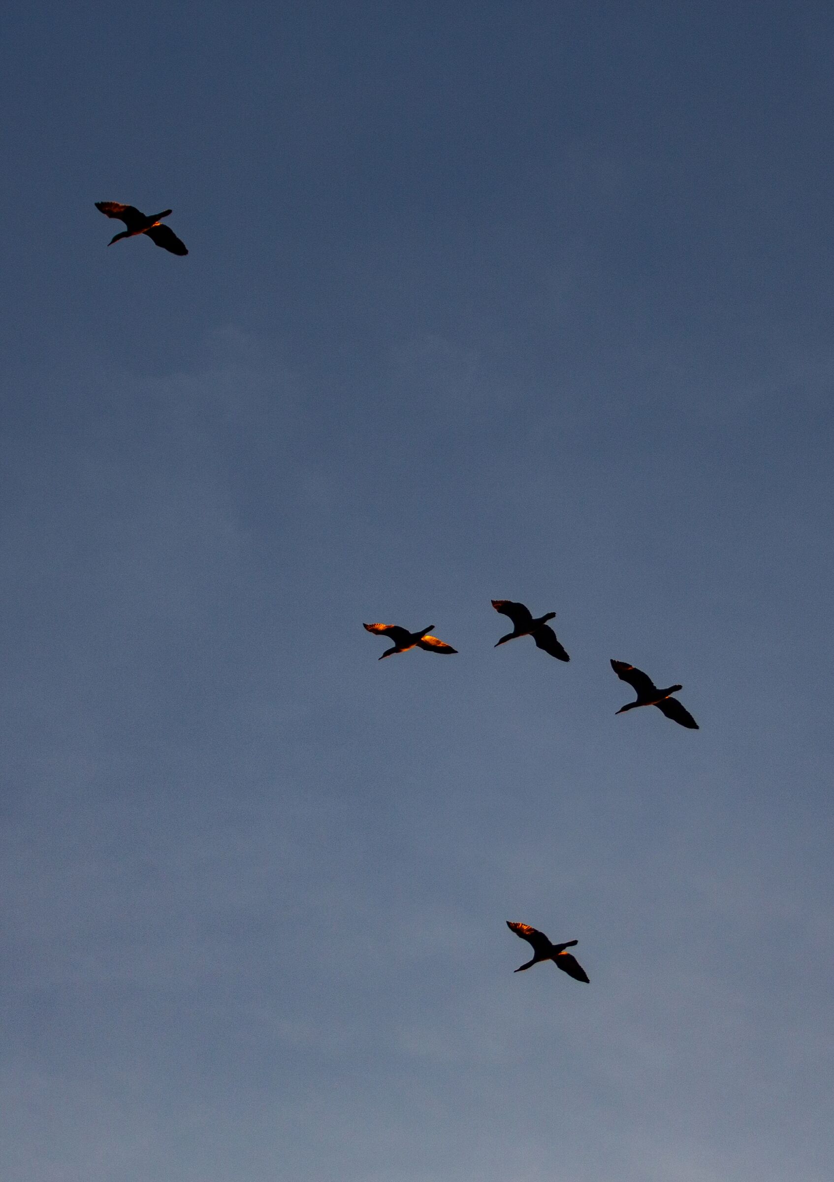 They where into the sun