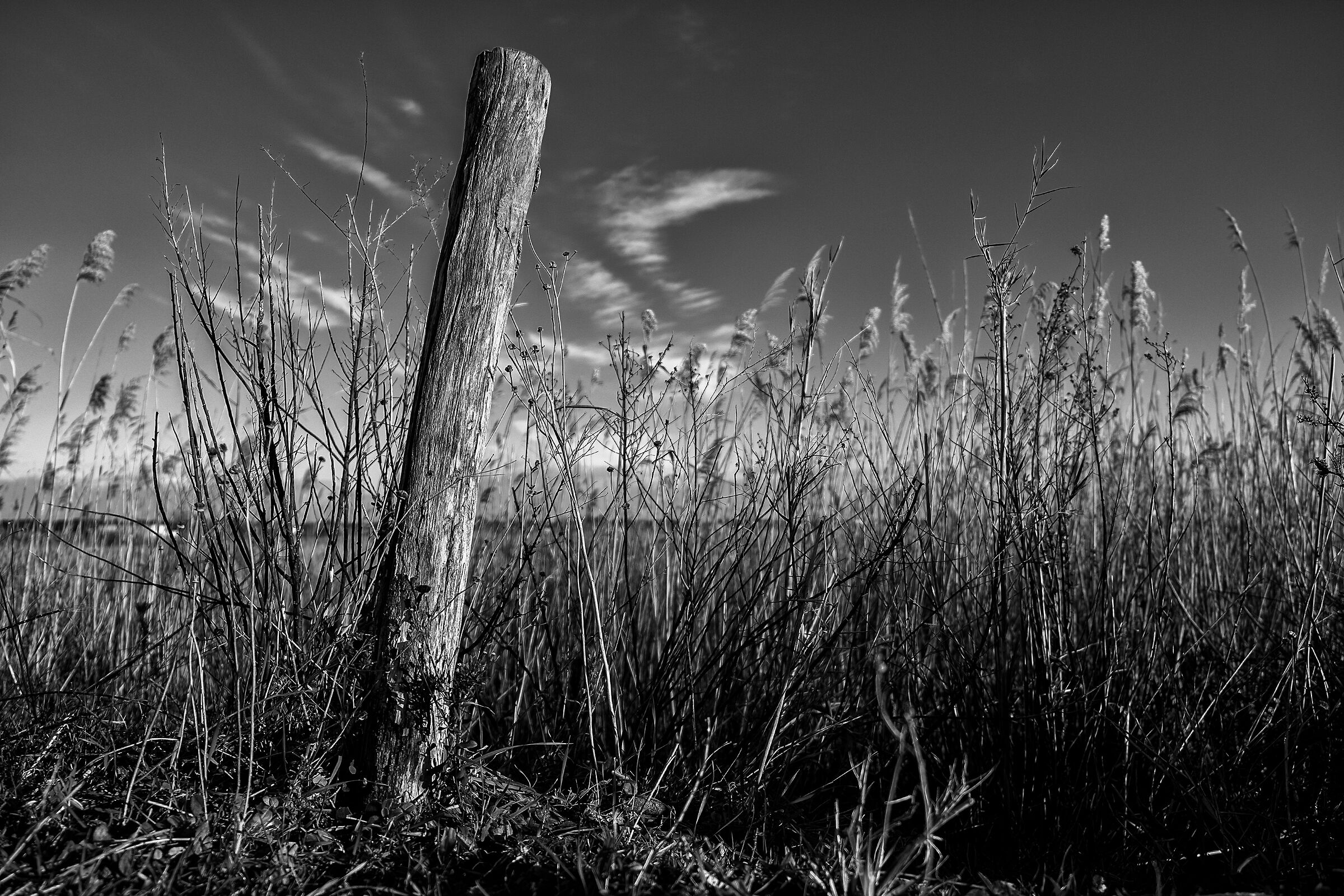 Sips of the Varicons