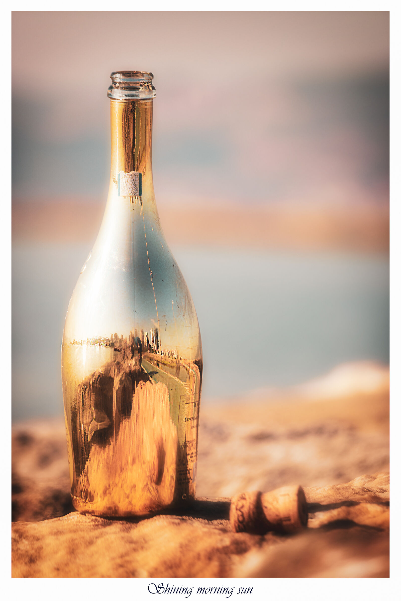 Sole del mattino splendente su una bottiglia di champagne a ...