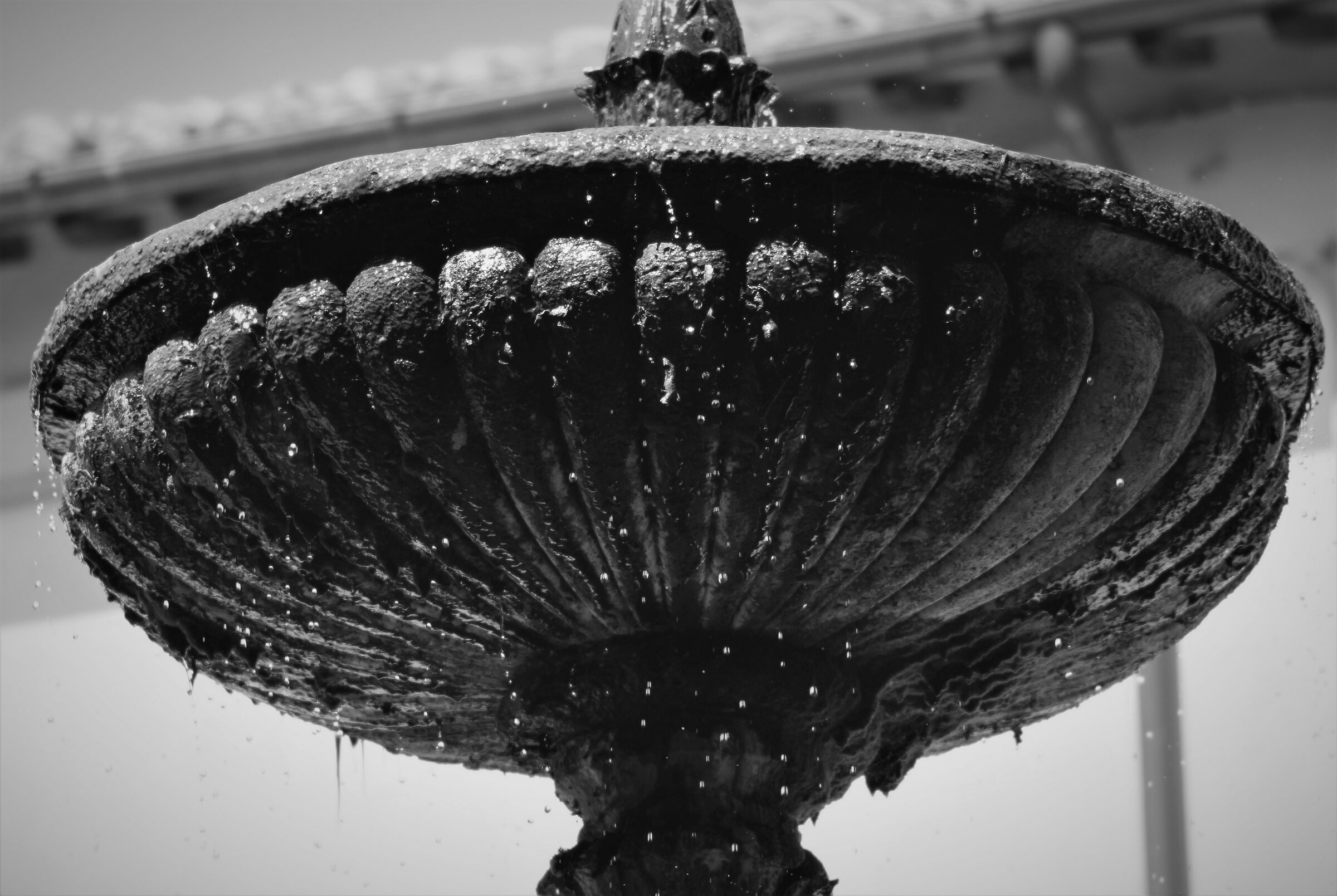 Una  fontana macro dedicata al montanaro