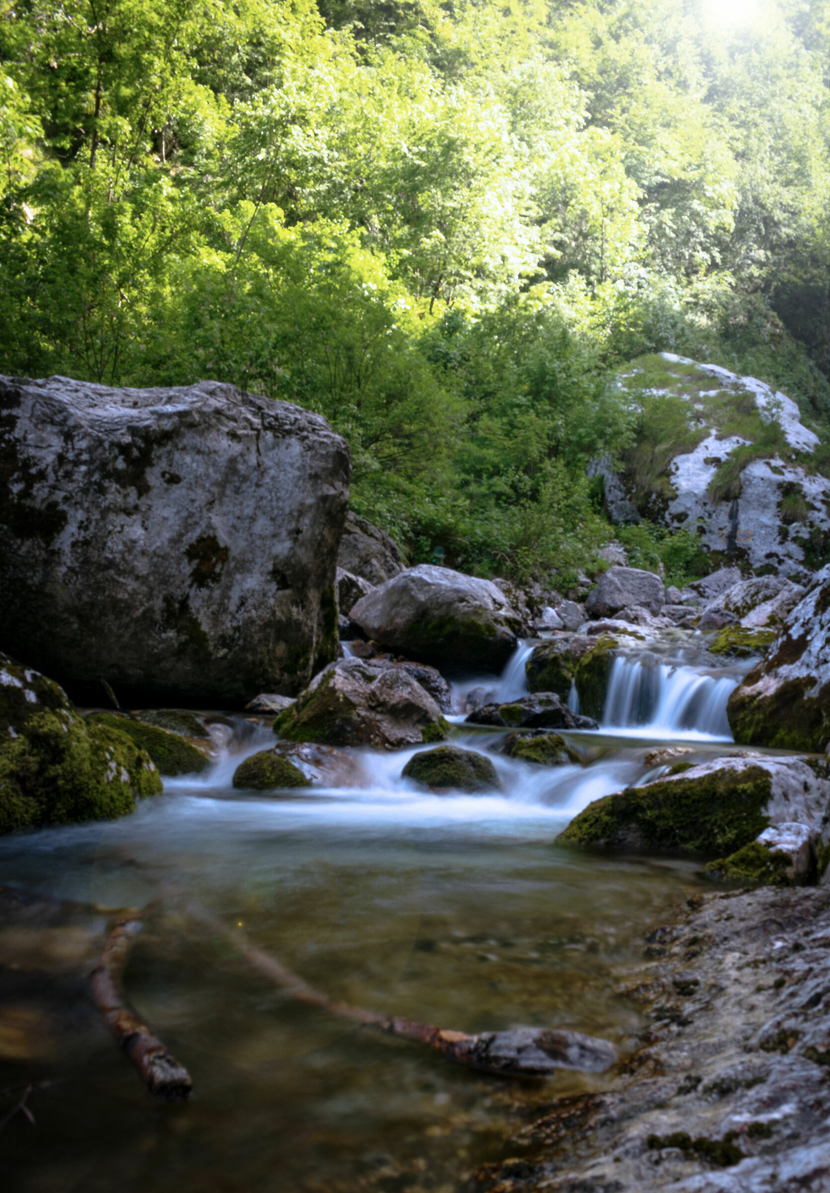 Rio Barman, (Rio Barman)