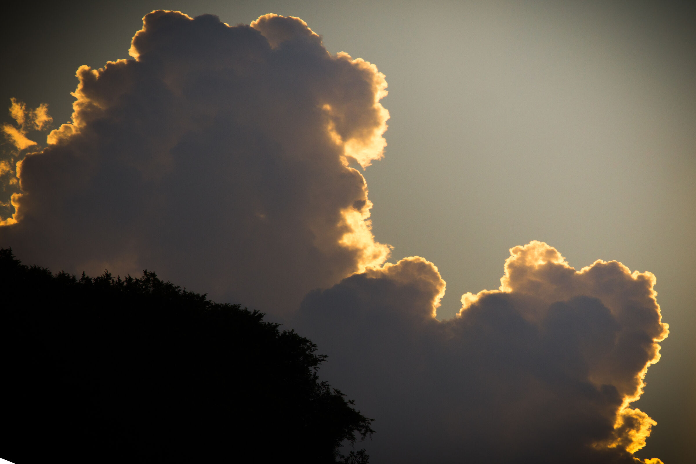 to have one's head in the clouds