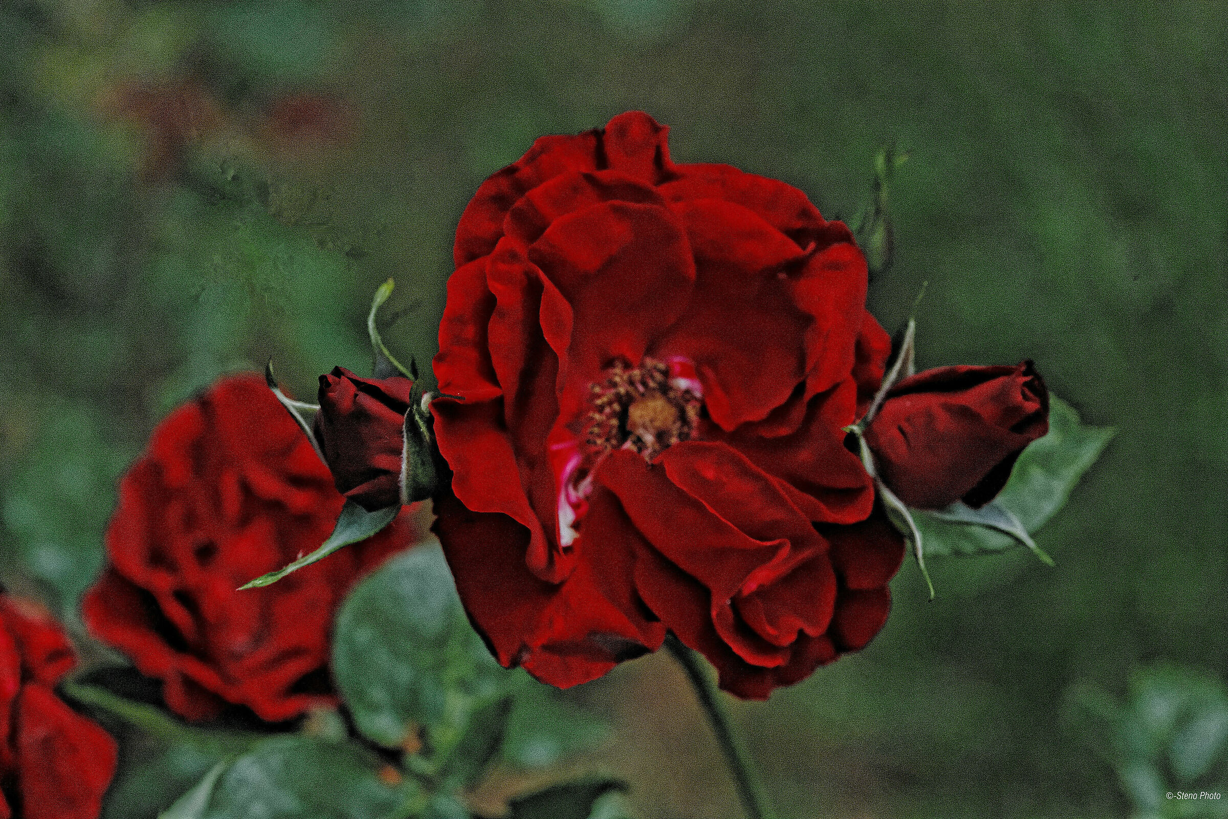 Domanda a chi ne sa più di me