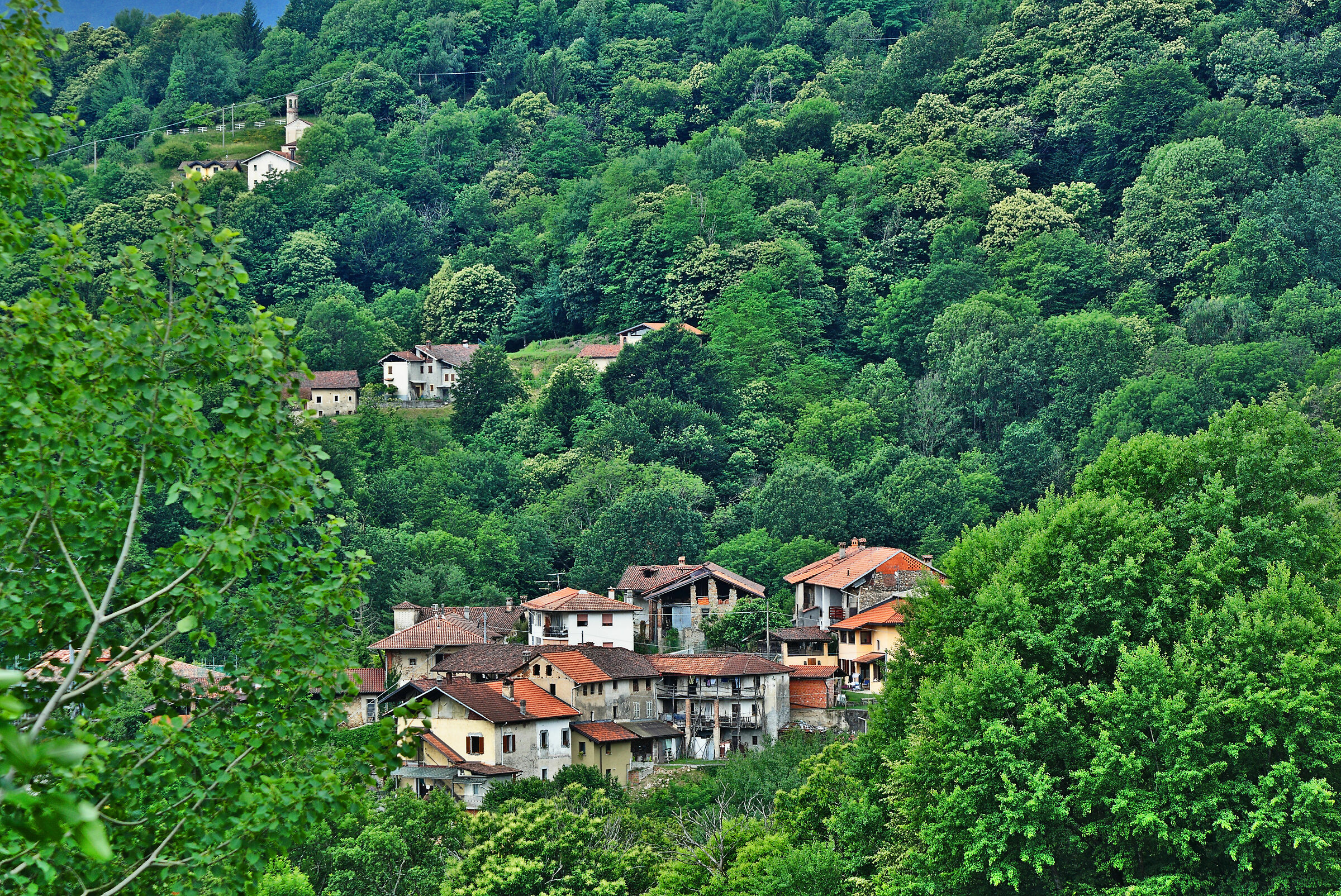 Marasco of Borgosesia