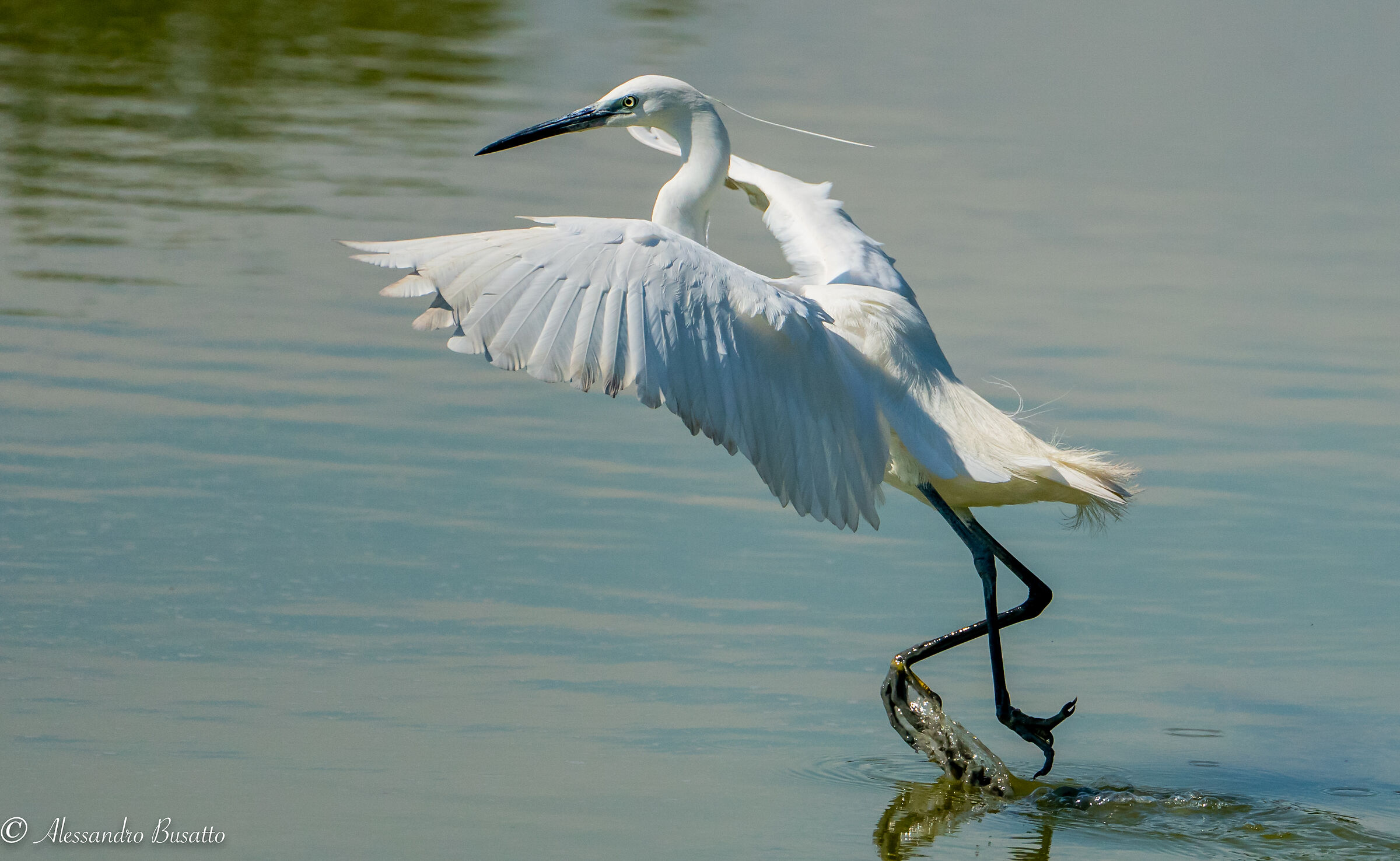 Io cammino sull'acqua