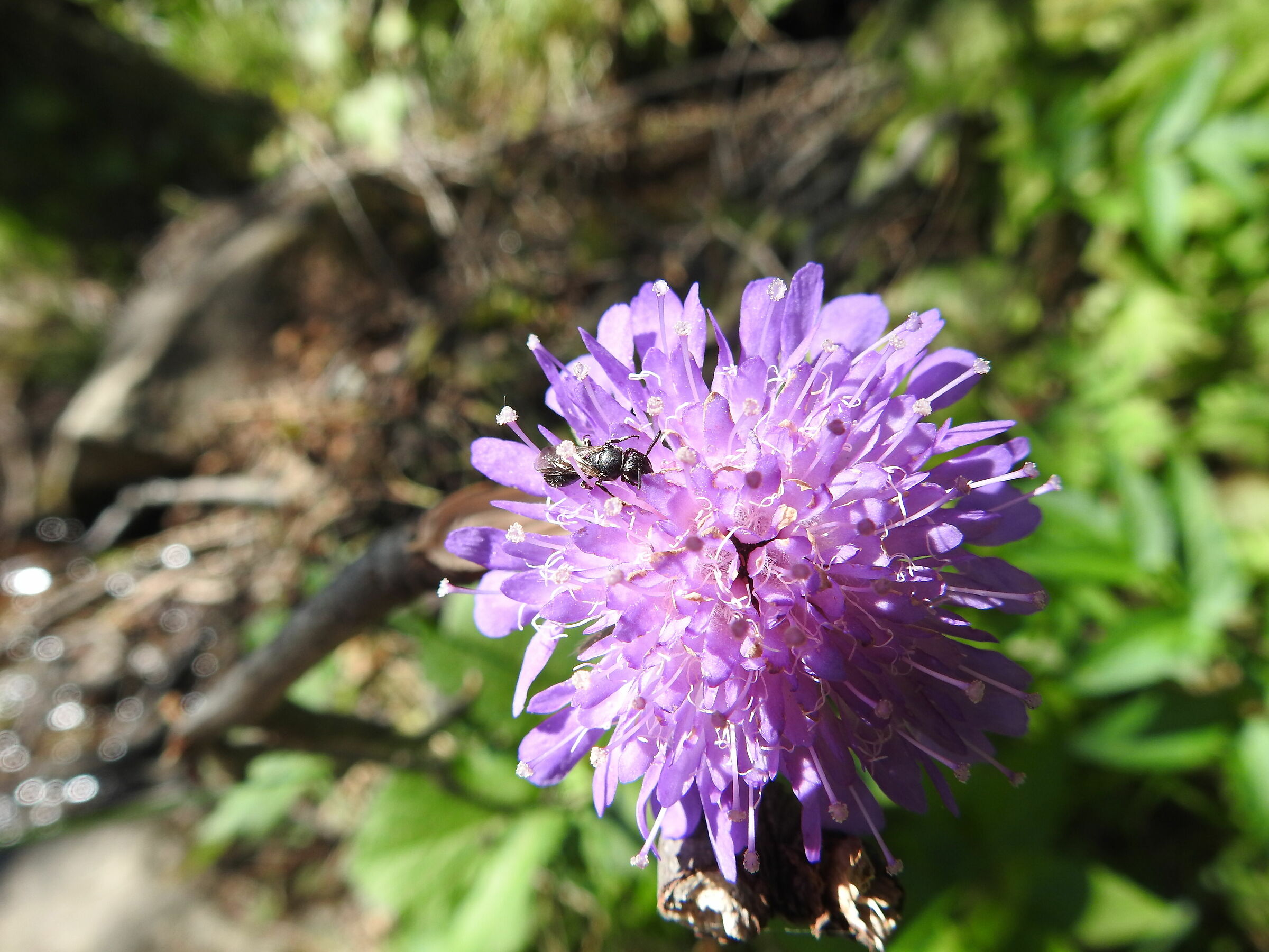Untitled Photo