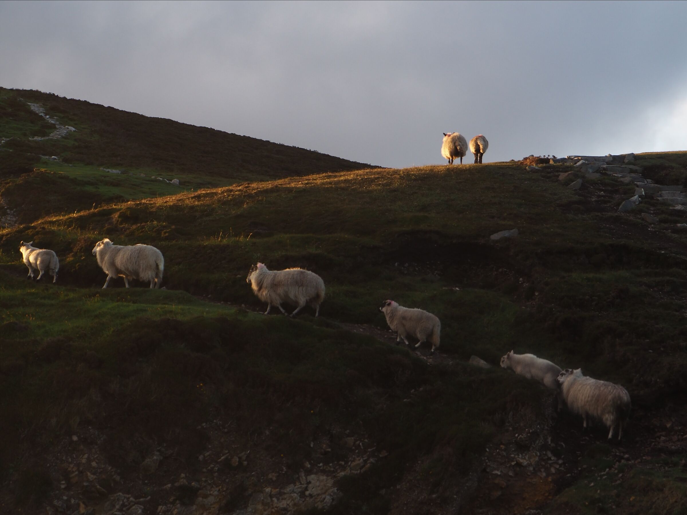 In fila per l'ultimo raggio di sole