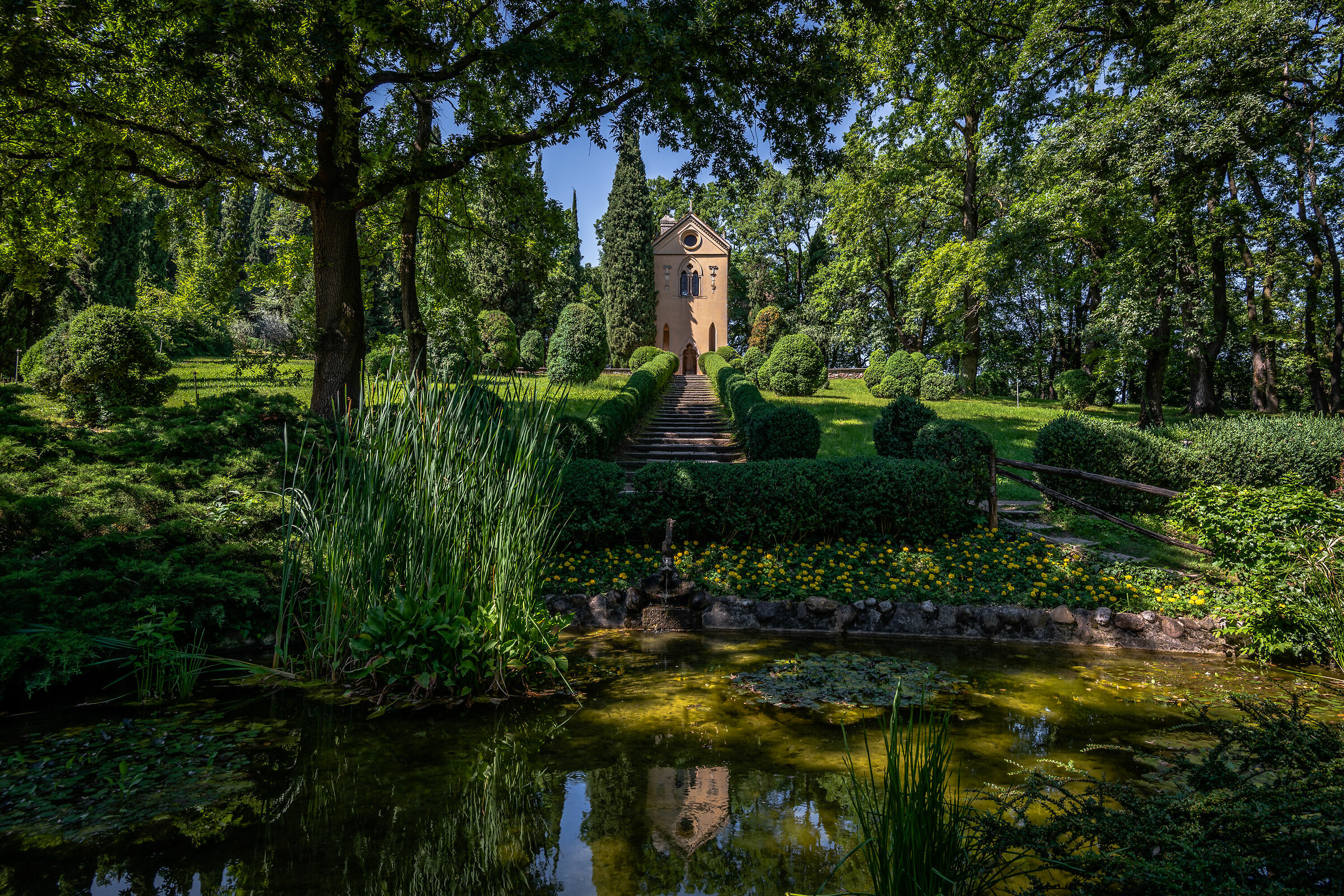 Verde lussureggiante