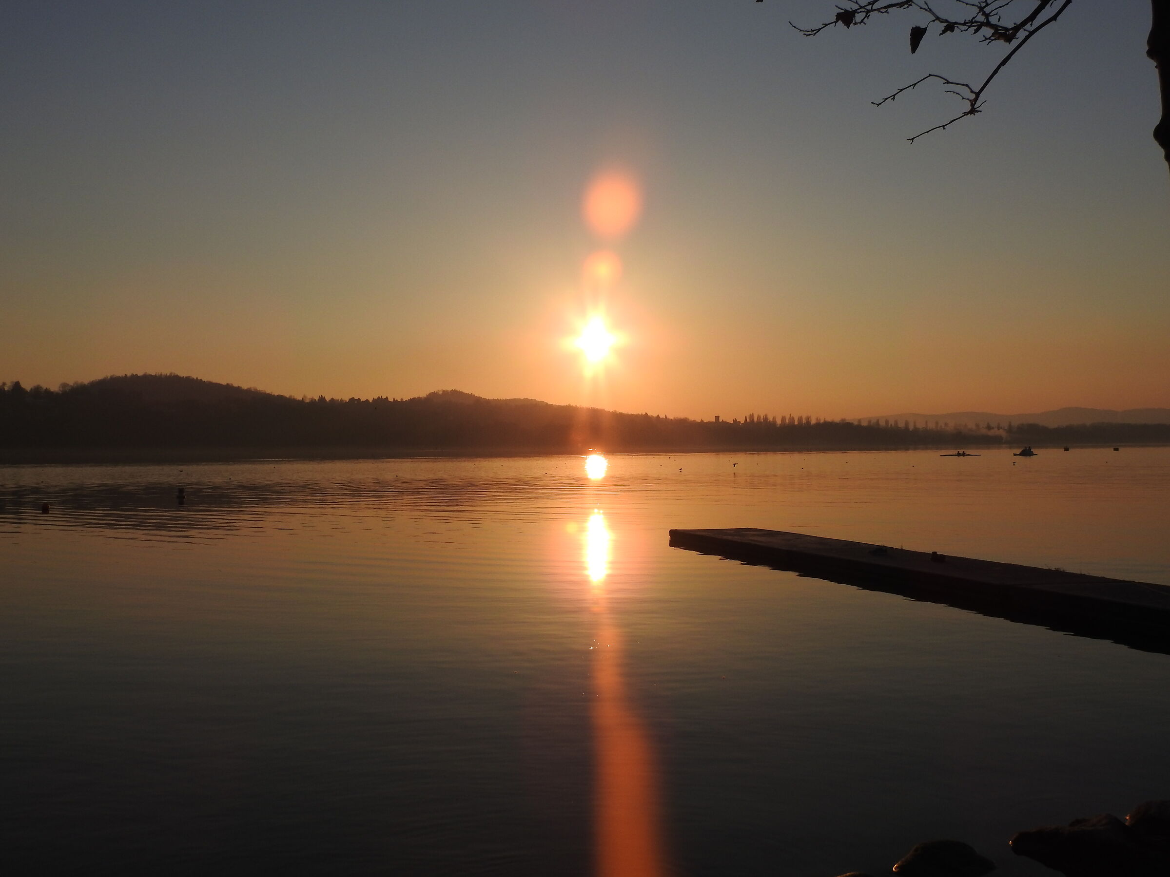 Untitled Photo