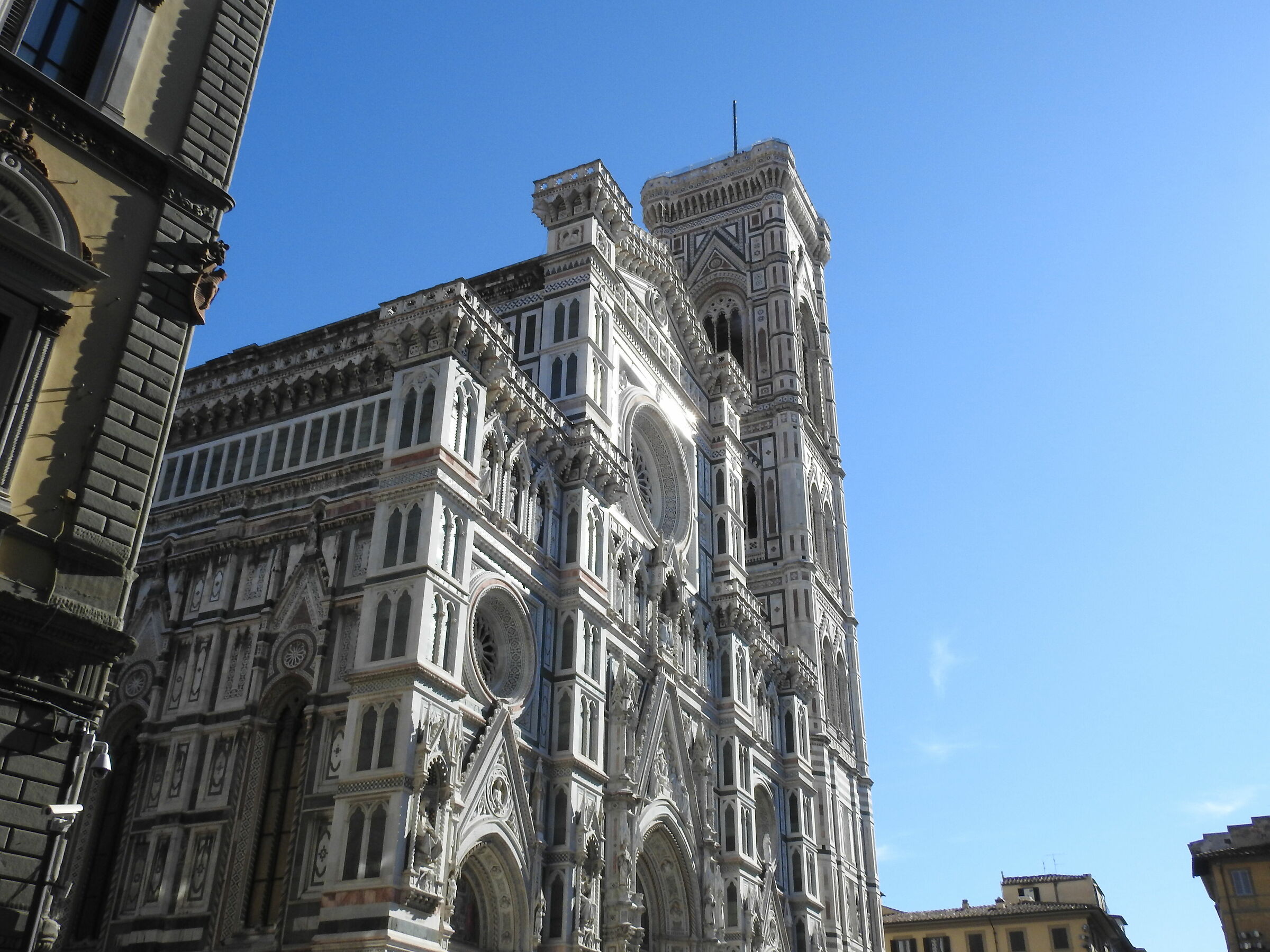 Florence