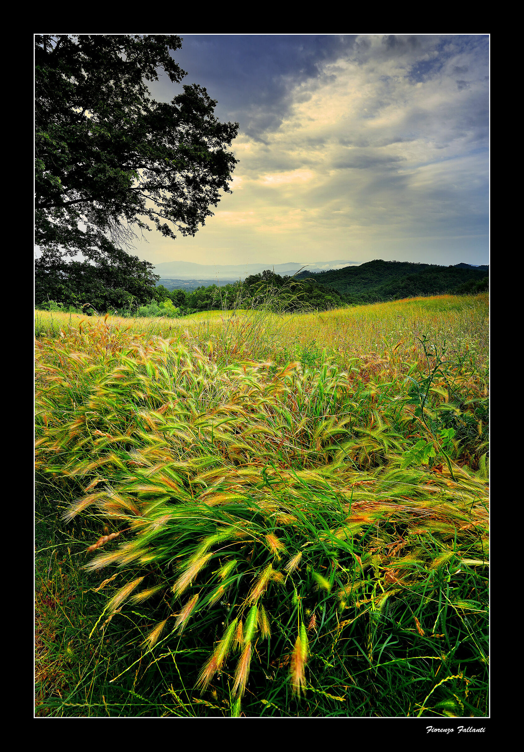 ...Avviso di tempesta