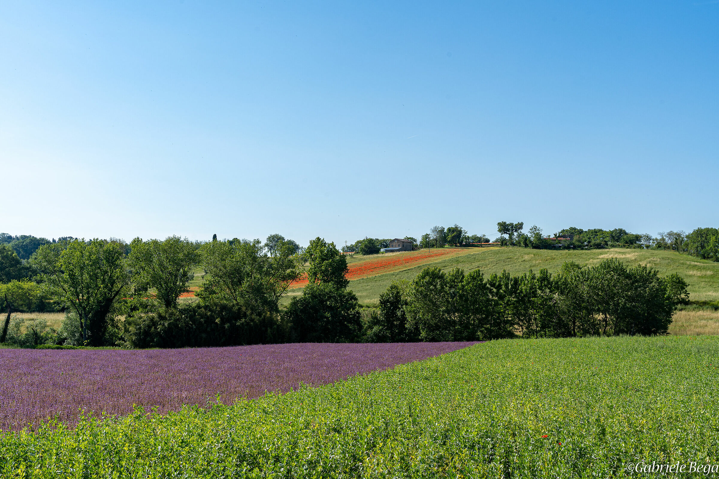 Colori del percorso1