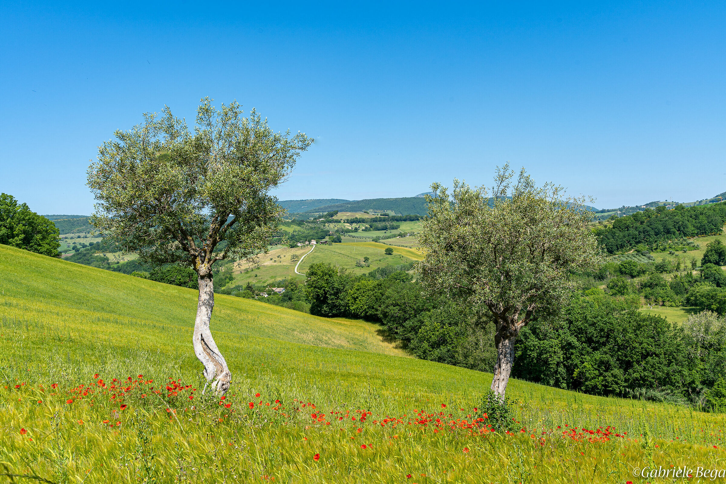 Colori del percorso 2