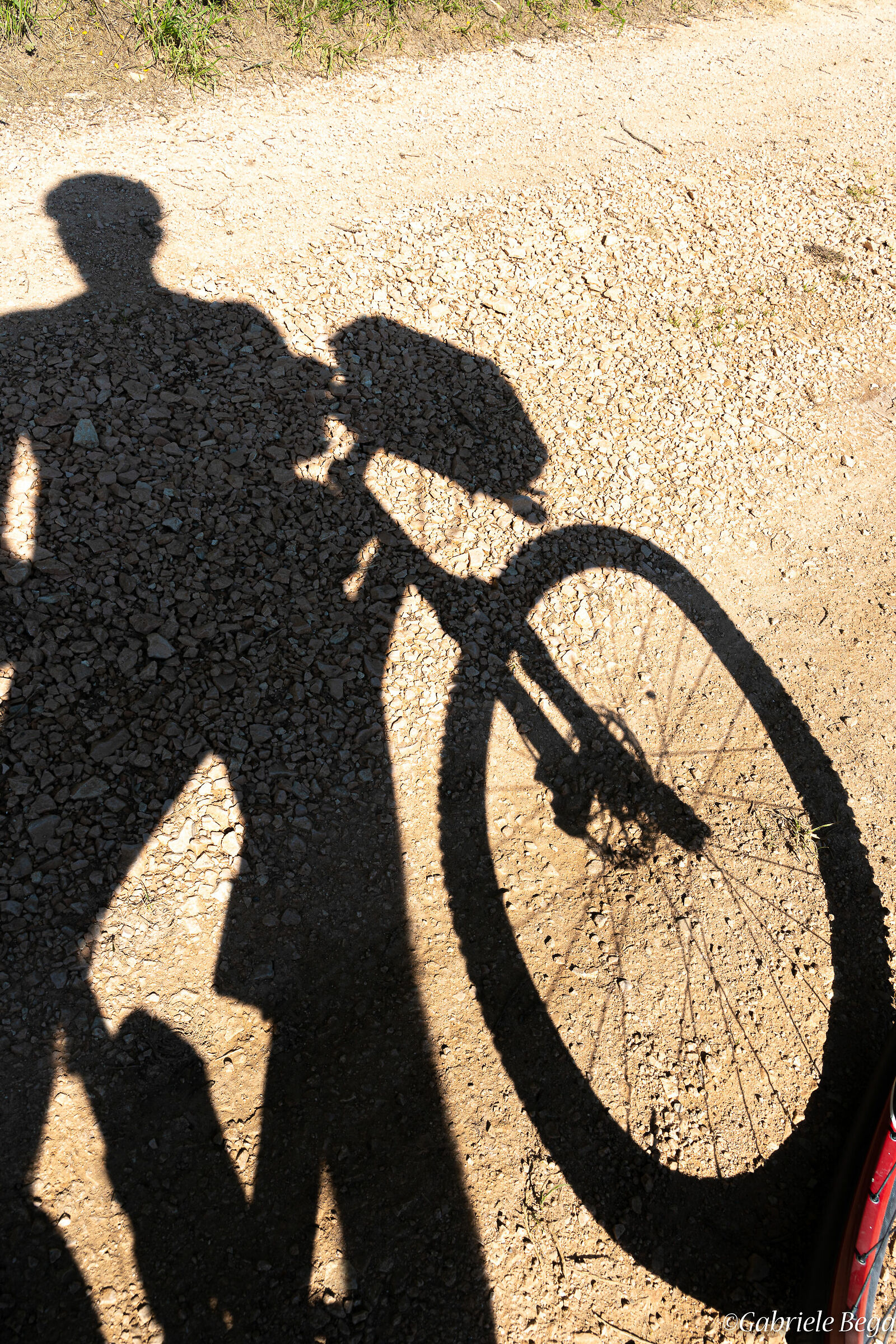 Insieme alla mia ombra