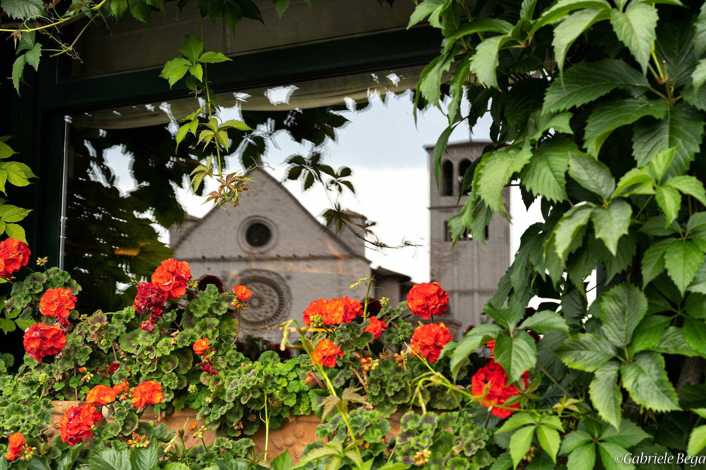 San Francesco riflessa