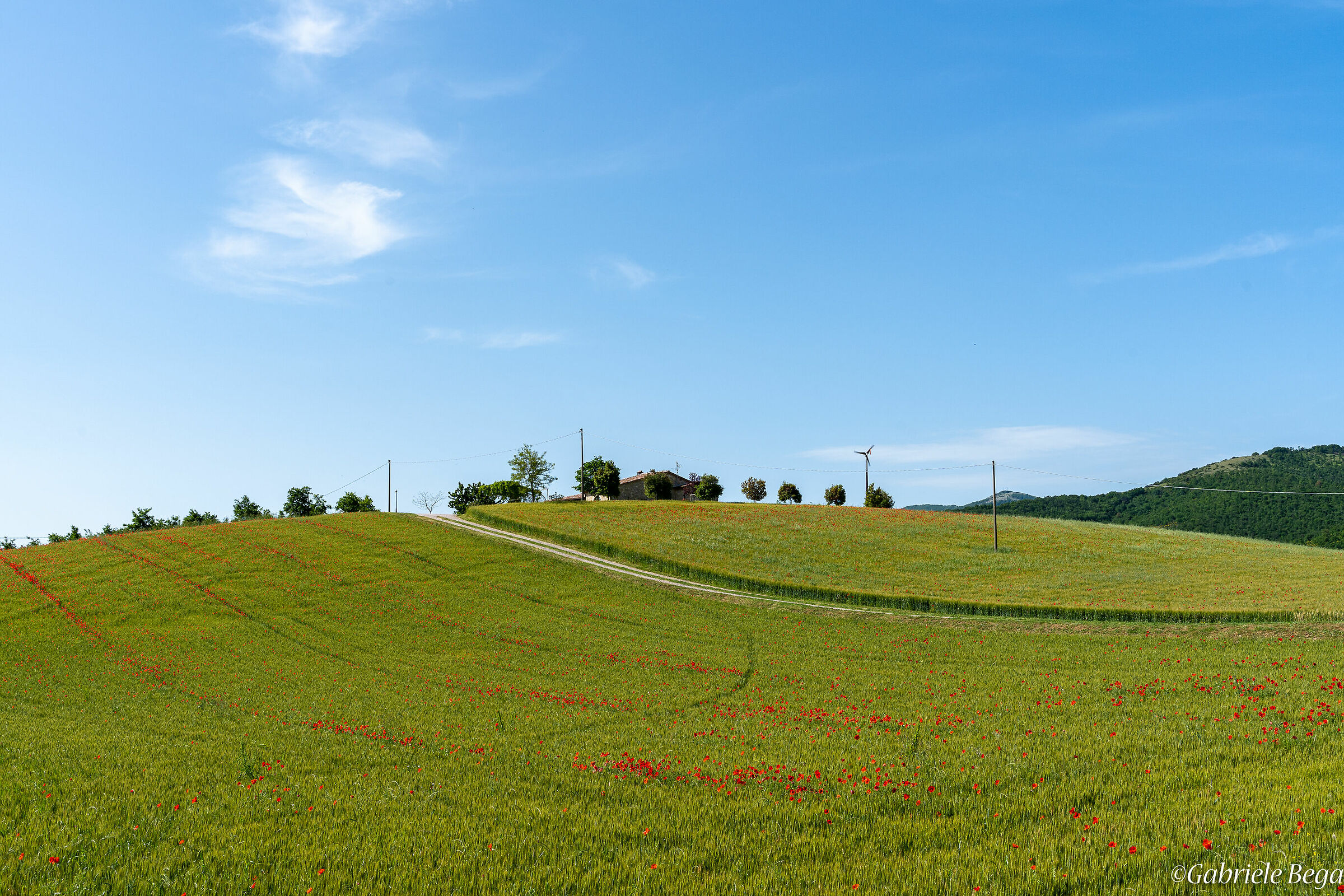 I colori del percorso 4