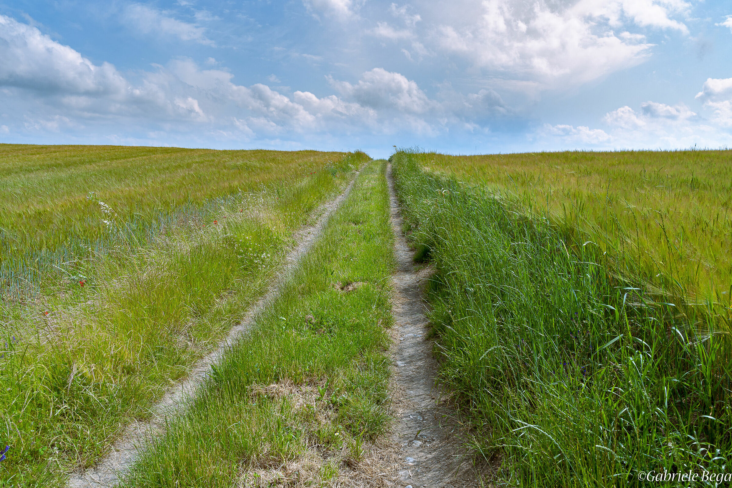 Il sentiero verso l'incognito