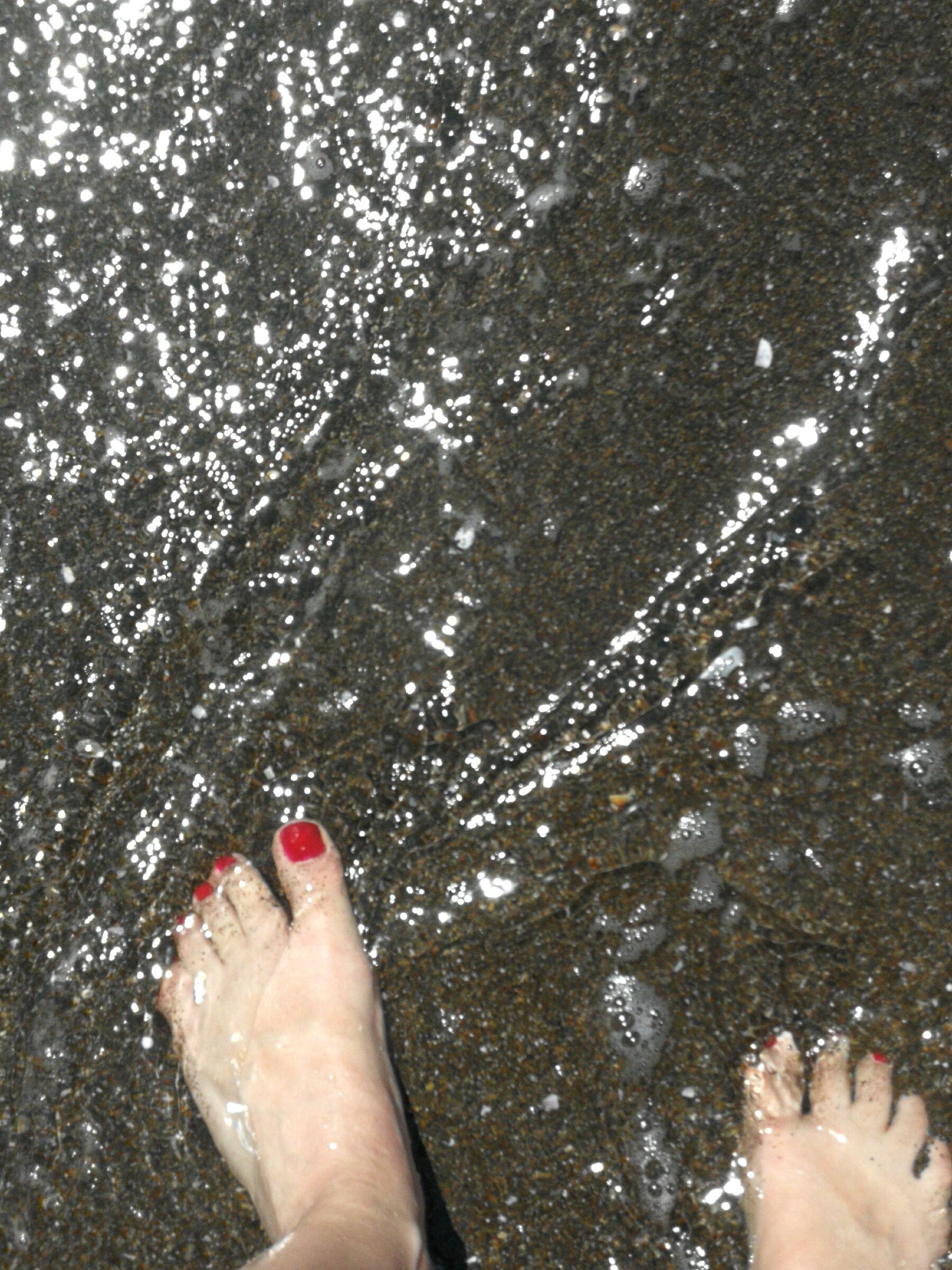 Piccoli esercizi di felicità